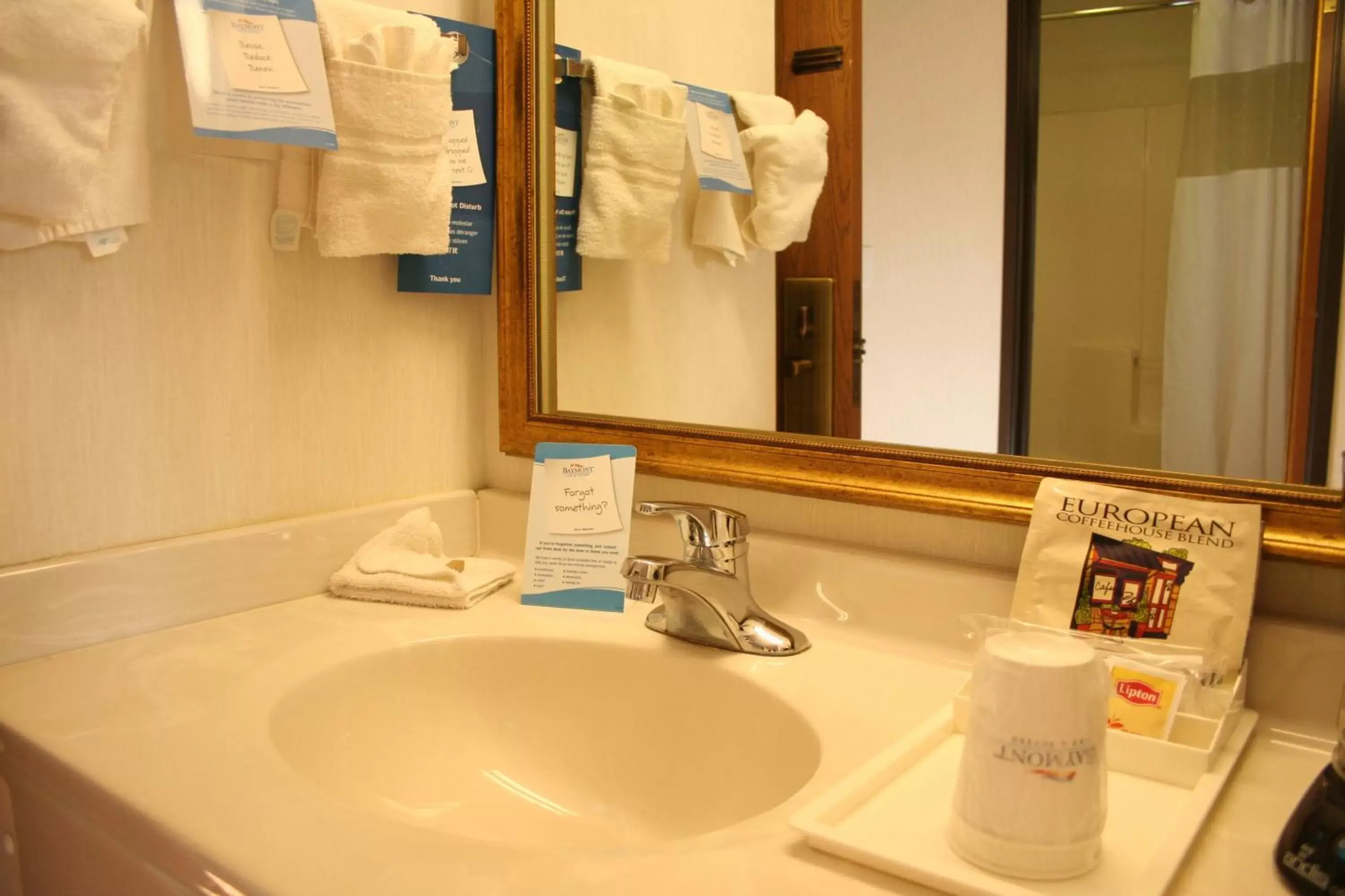 Bathroom in Baymont by Wyndham Battle Creek Downtown Bathroom in Baymont by Wyndham Battle Creek Downtown