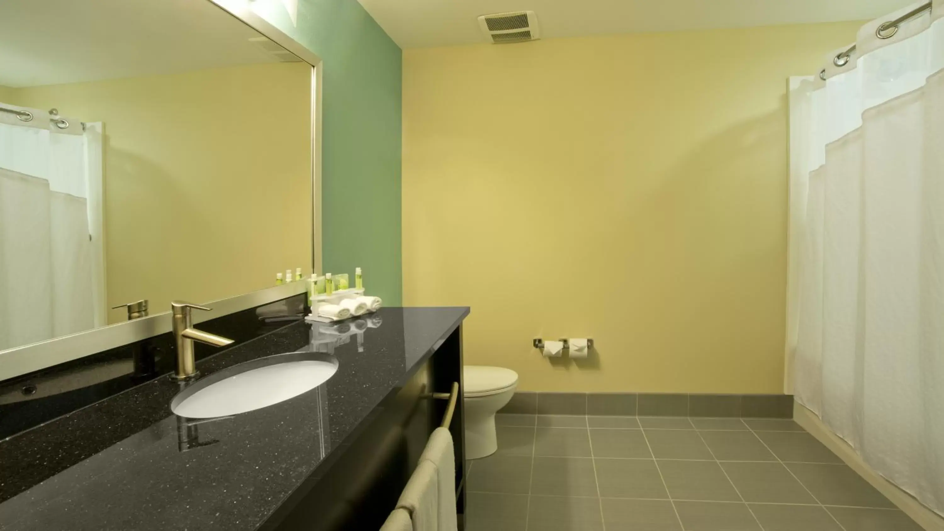 Bathroom in Holiday Inn Express & Suites Colorado Springs Central, an IHG Hotel