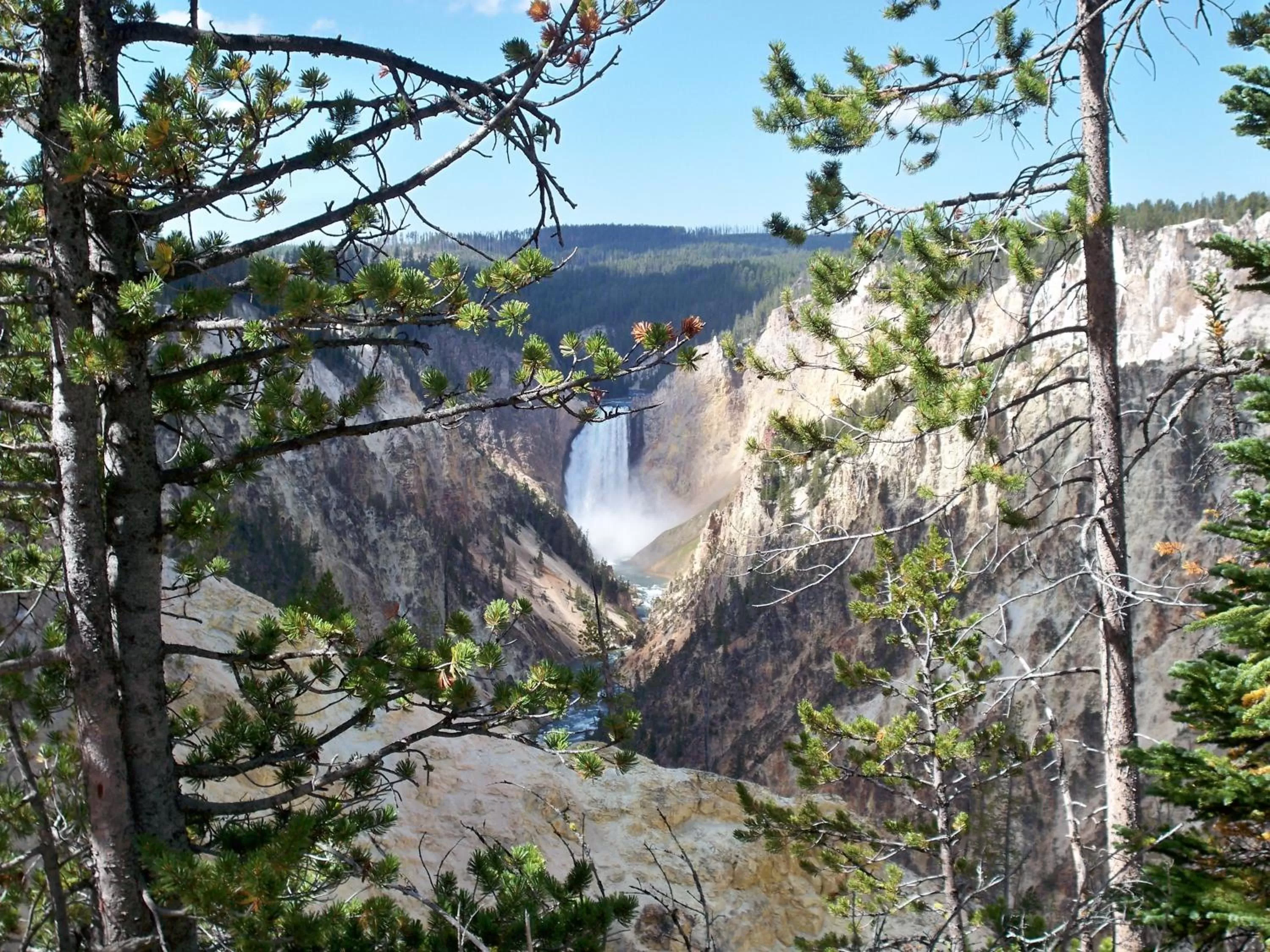 Area and facilities in Super 8 by Wyndham Cody