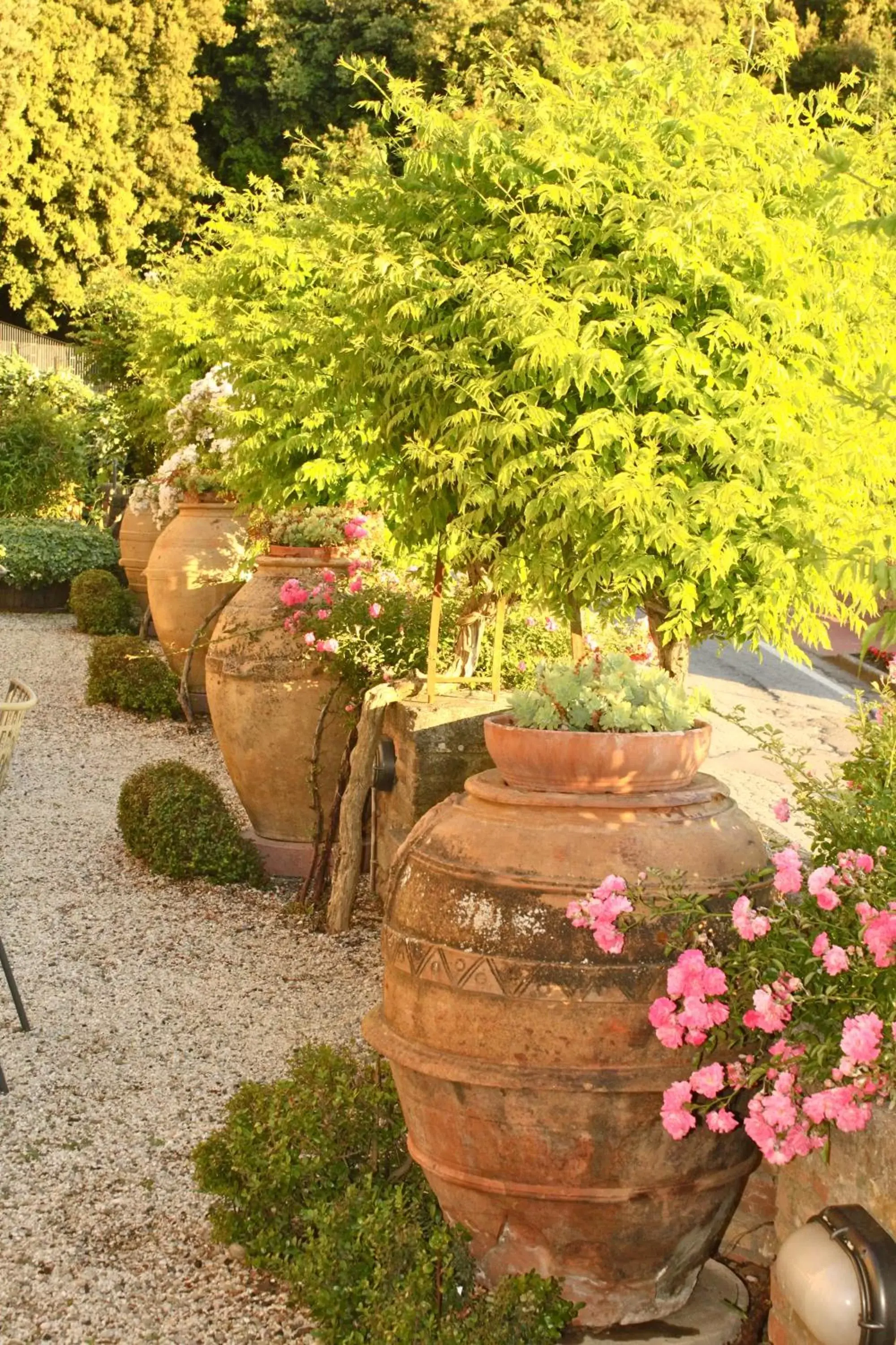 Garden in Relais Mastro Cinghiale