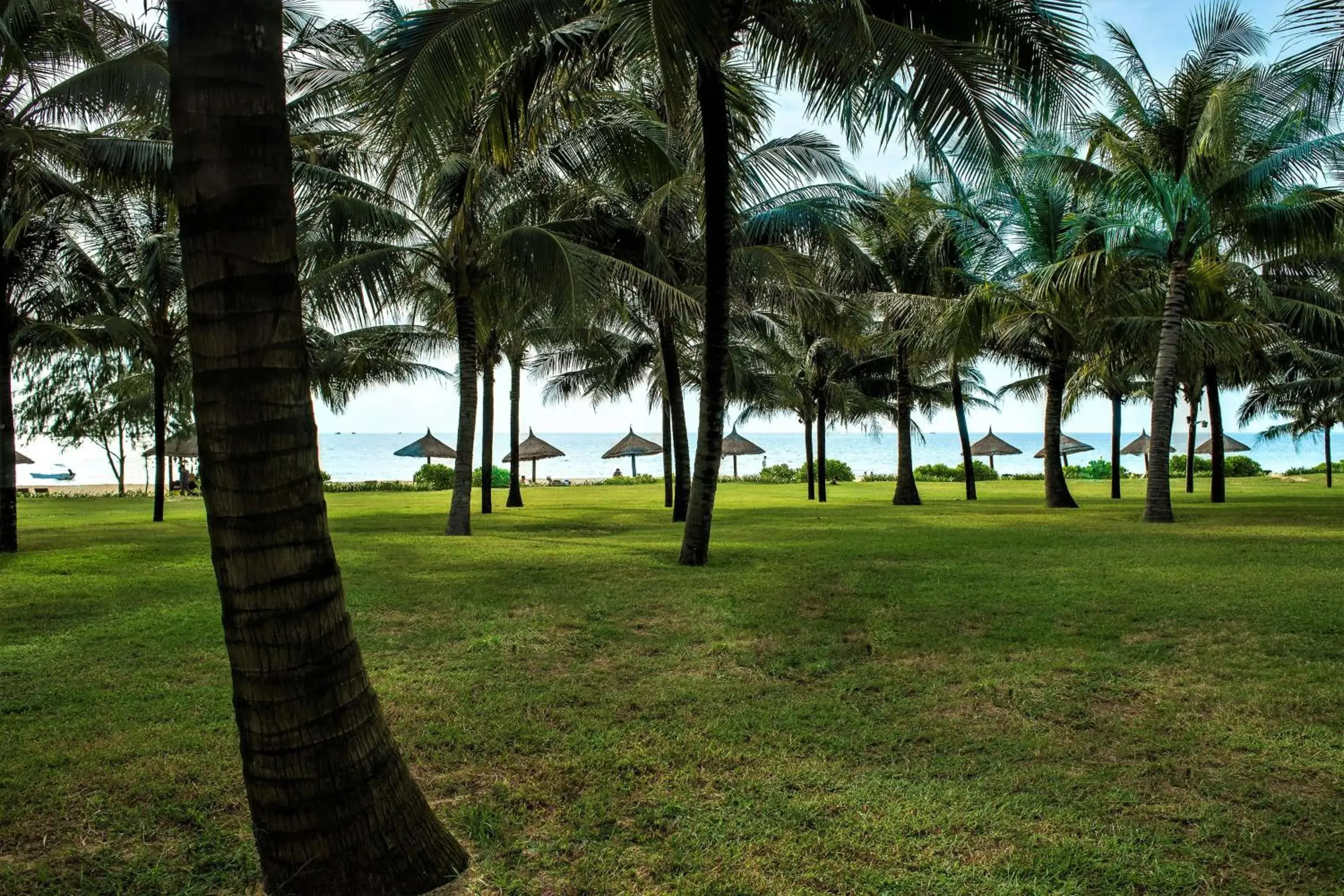 Beach, Garden in Radisson Blu Resort Phu Quoc