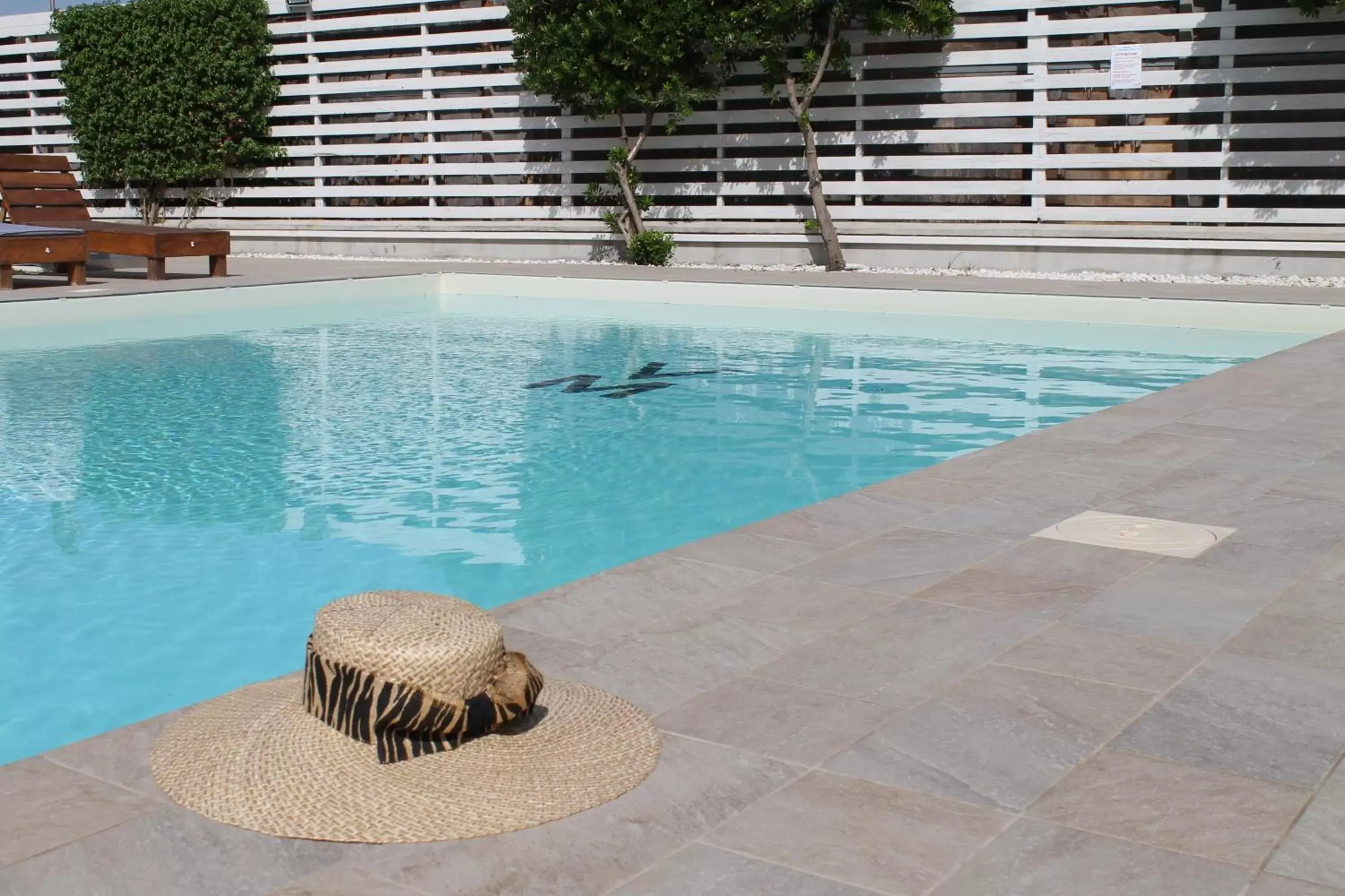 Swimming Pool in Villa Miramare