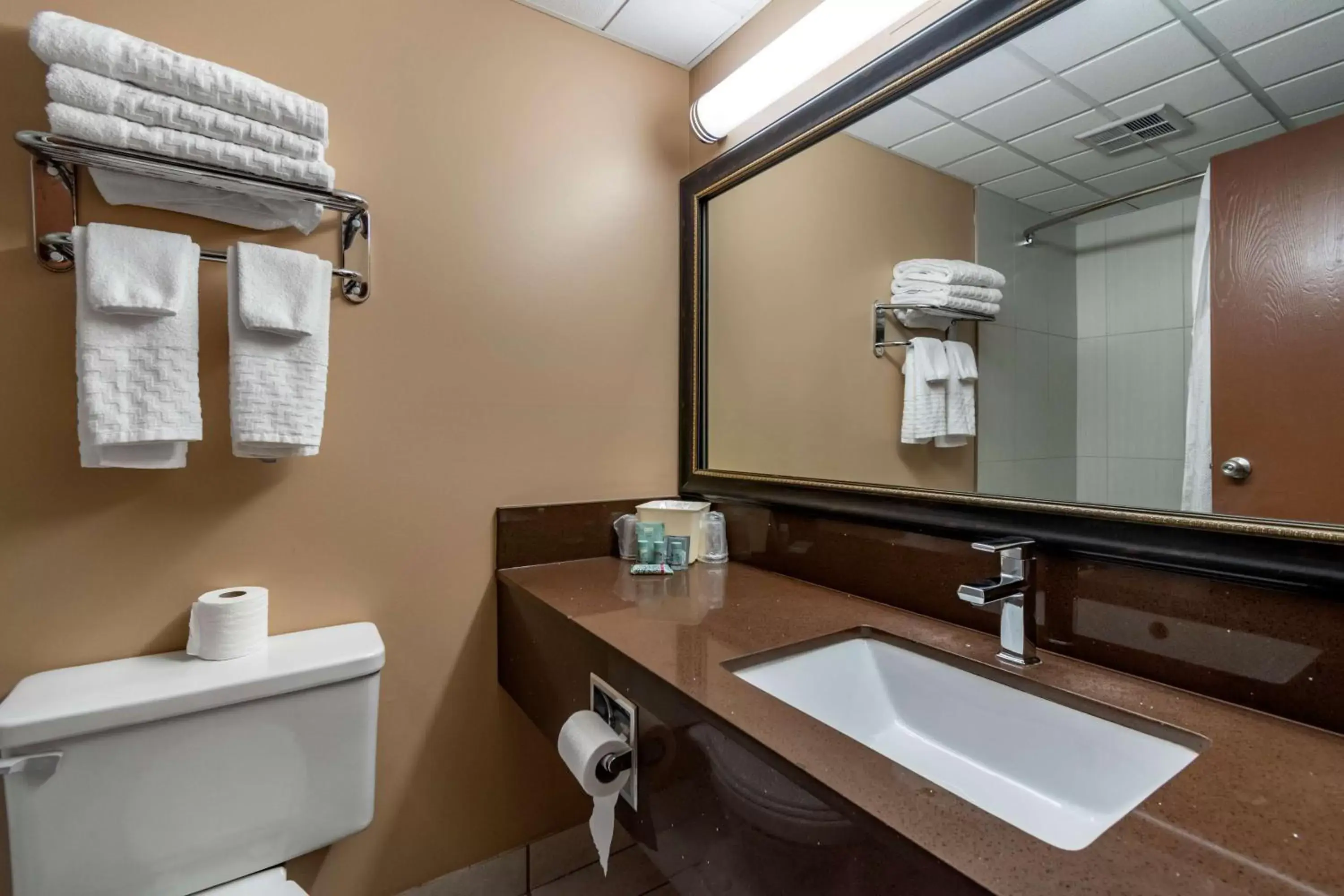 Bathroom in Best Western Marquis Inn & Suites