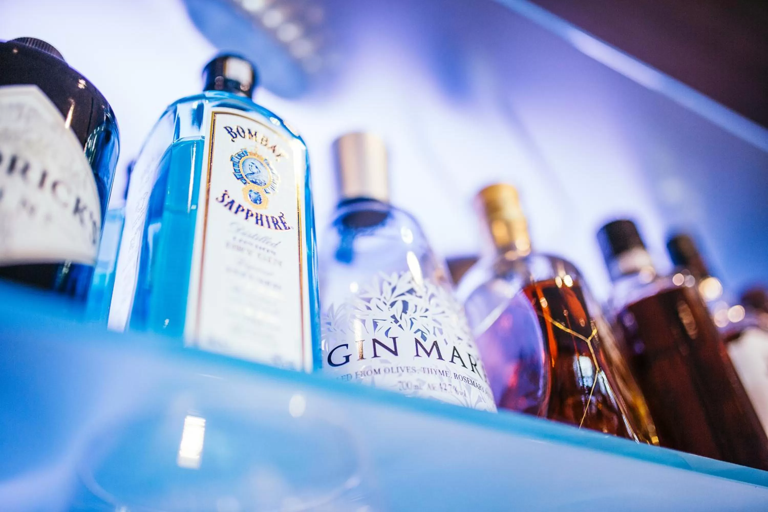 Lounge or bar in Hotel Westerkamp