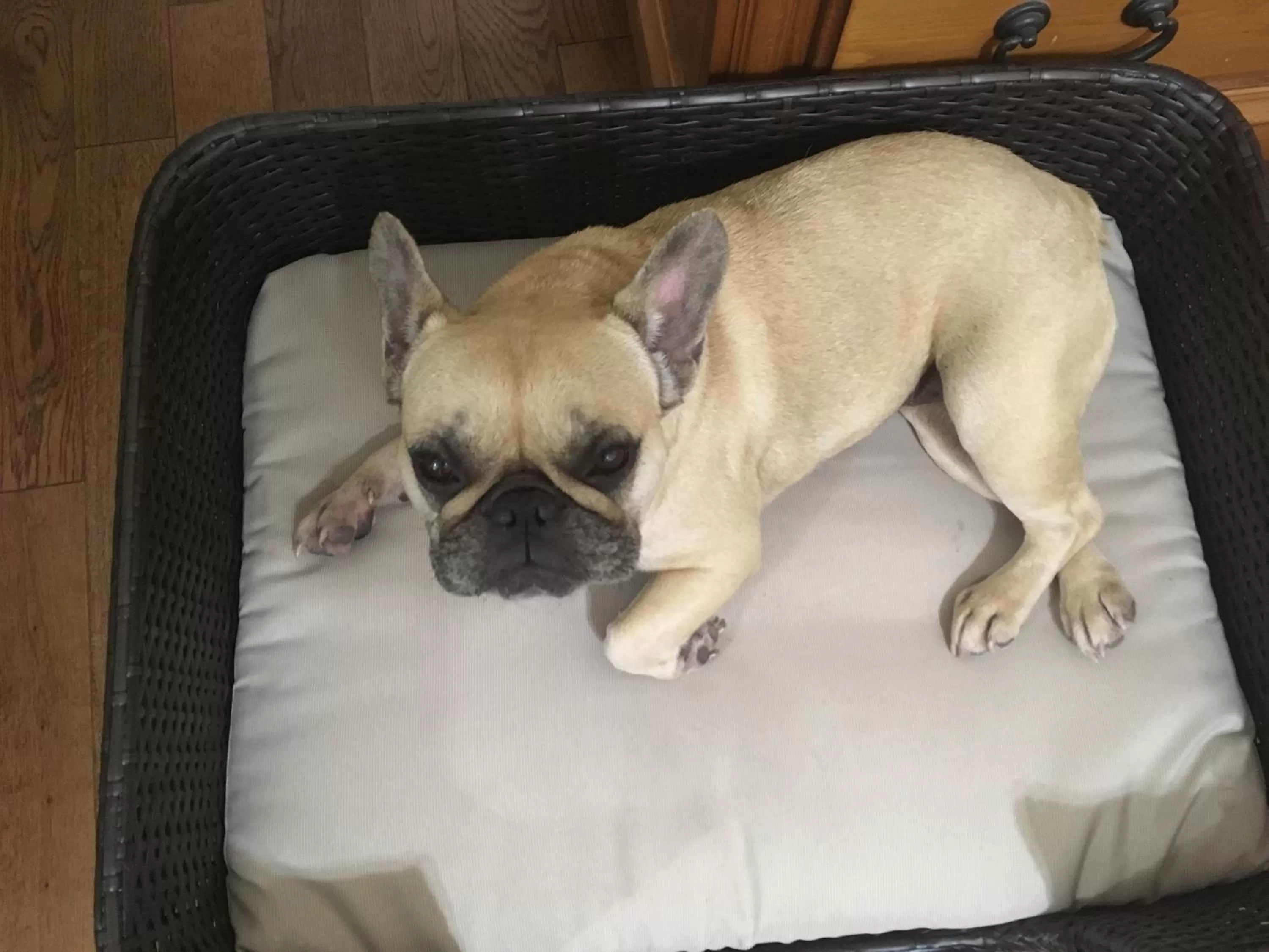 Lobby or reception in Holiday Inn Express Hotel & Suites Clarington - Bowmanville by IHG