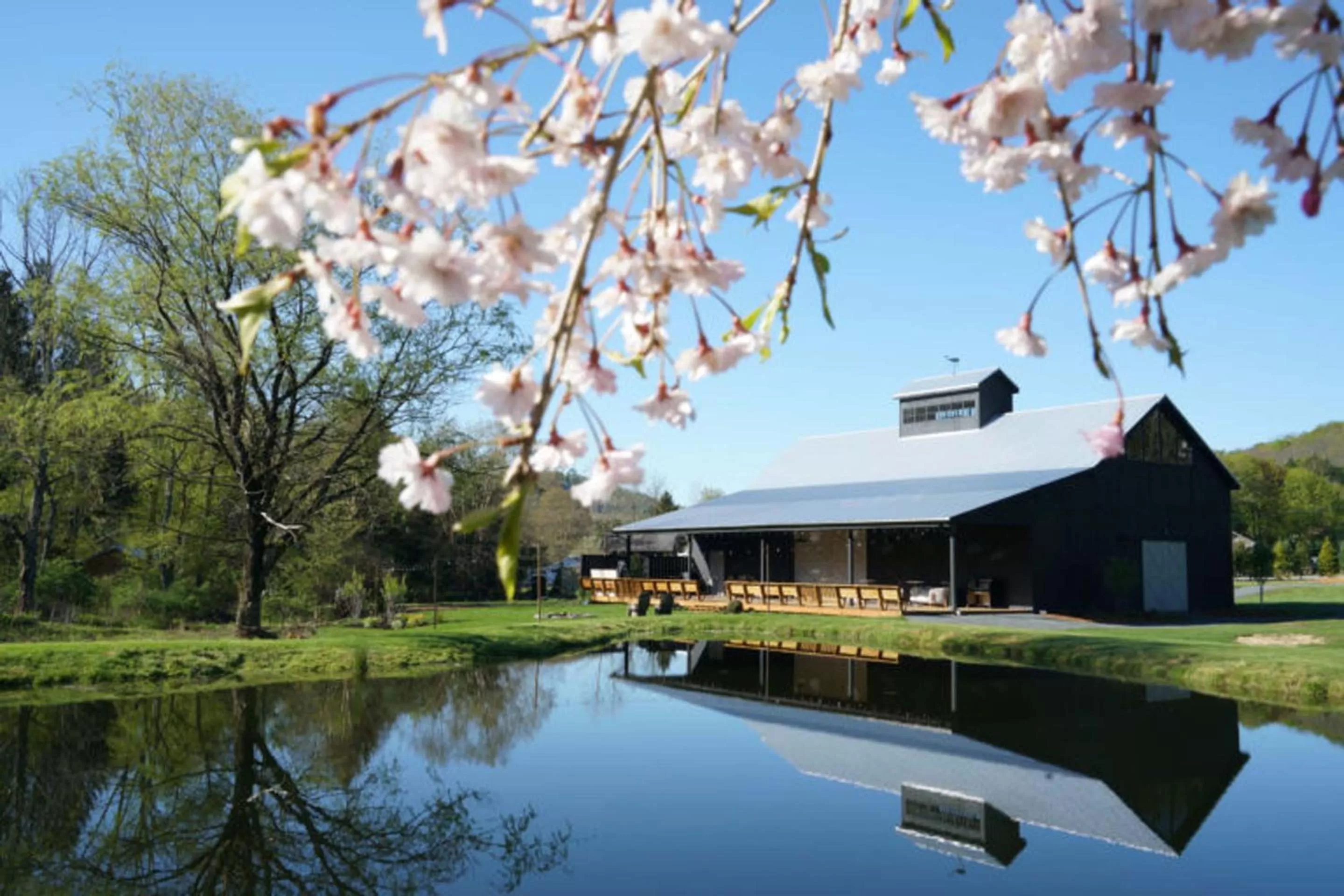 Property building in Callicoon Hills