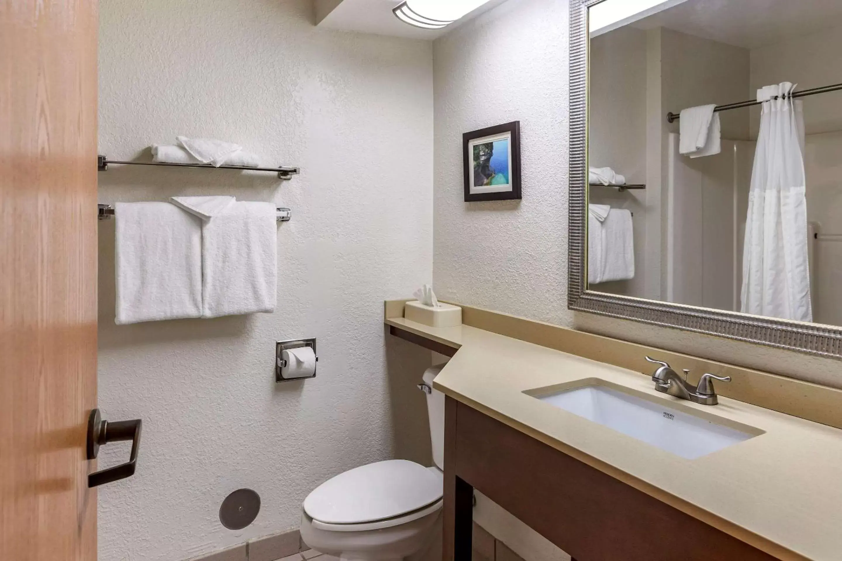 Bathroom in Comfort Inn Okemos - East Lansing