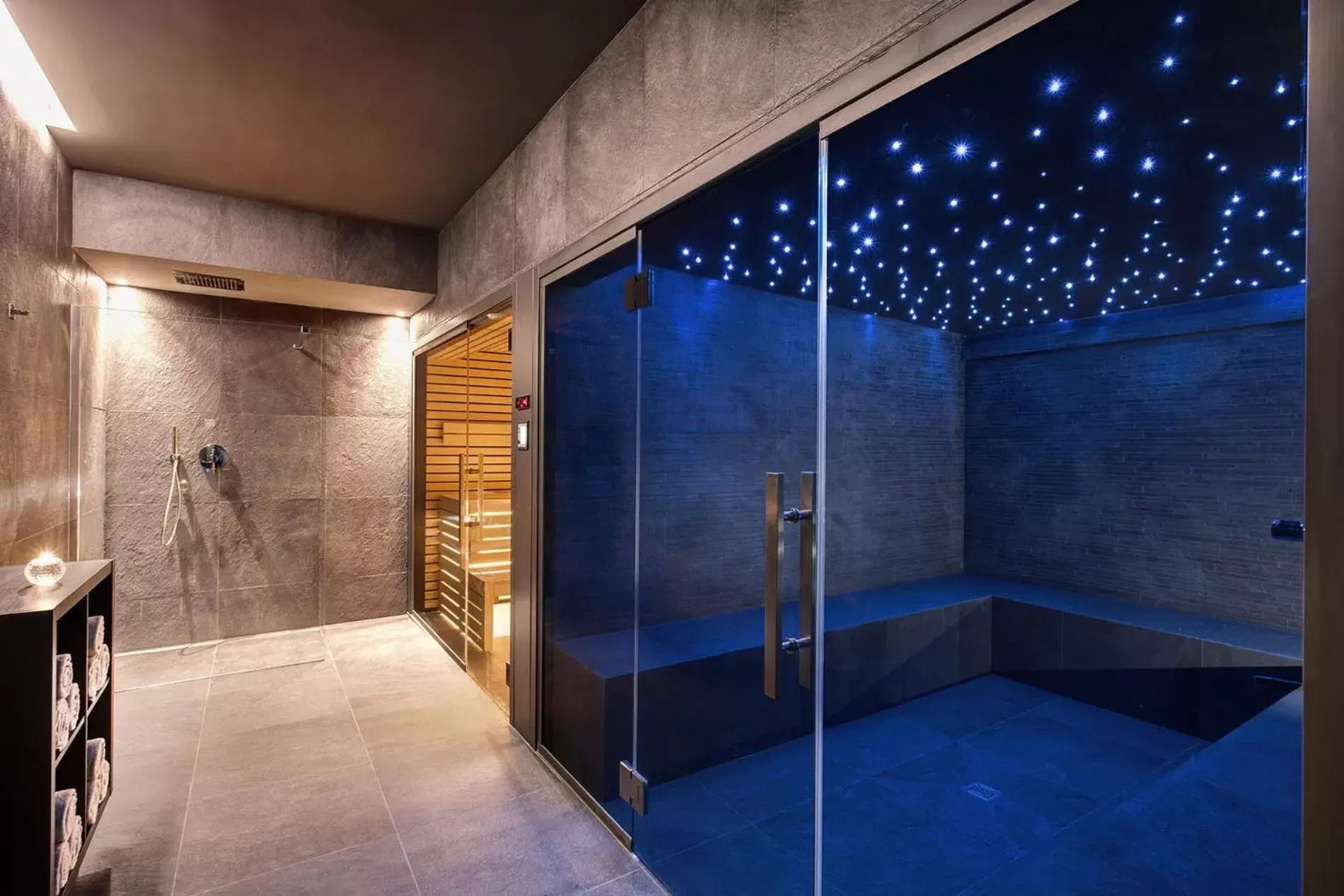 Sauna, Bathroom in Hotel Splendide Royal