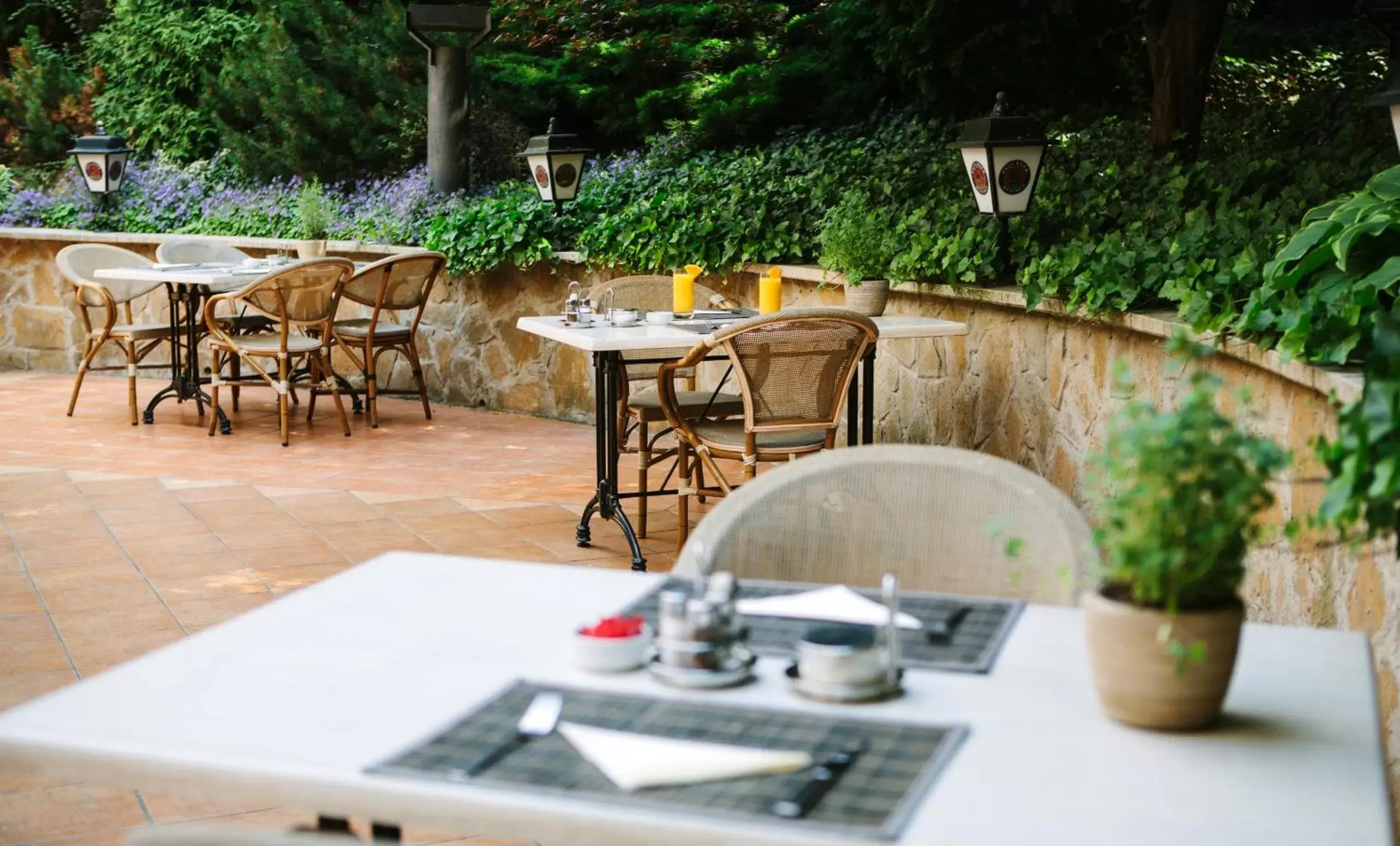 Garden, Restaurant/Places to Eat in Hotel Mediterran