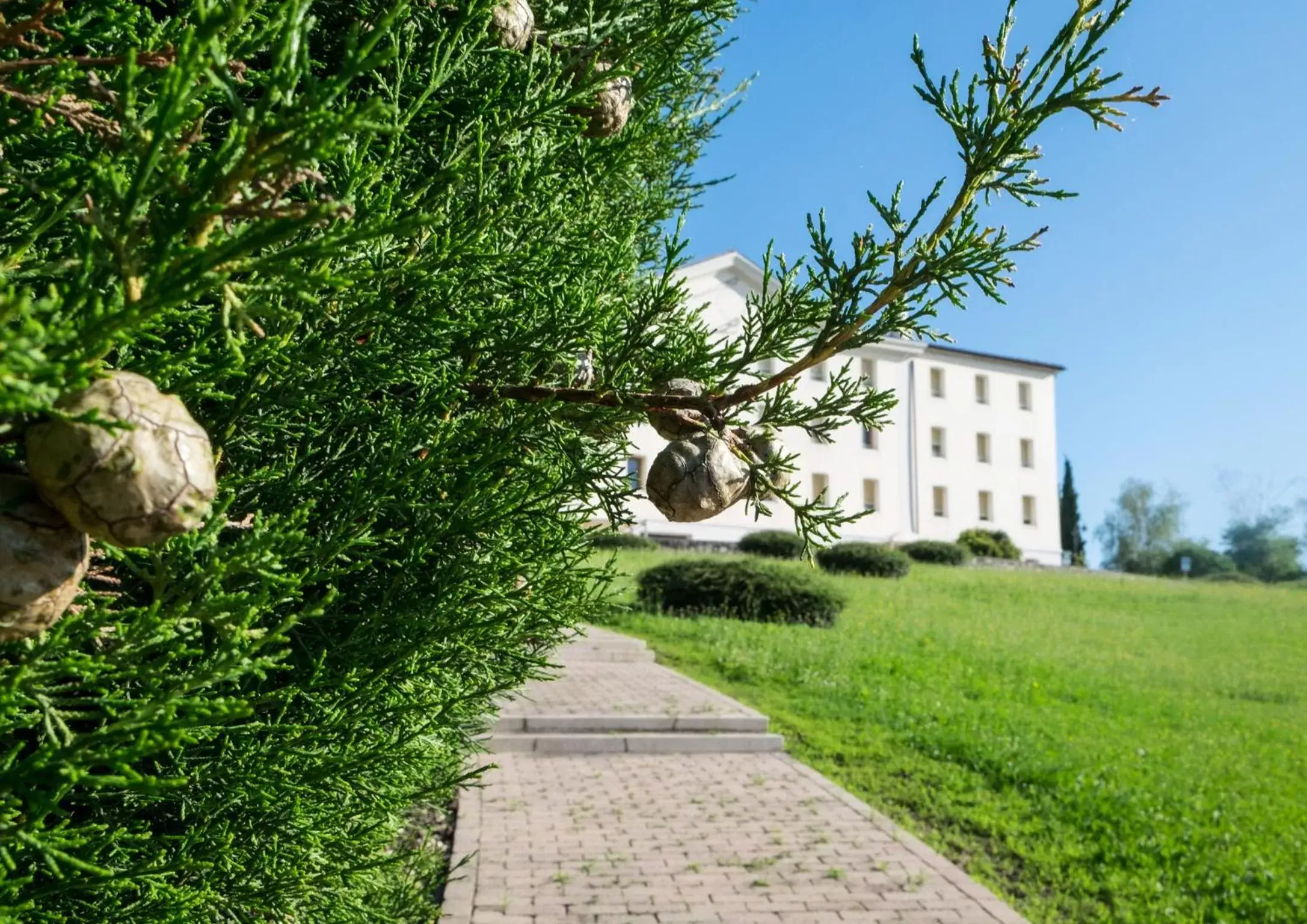 Facade/entrance, Garden in Phi Hotel Astoria