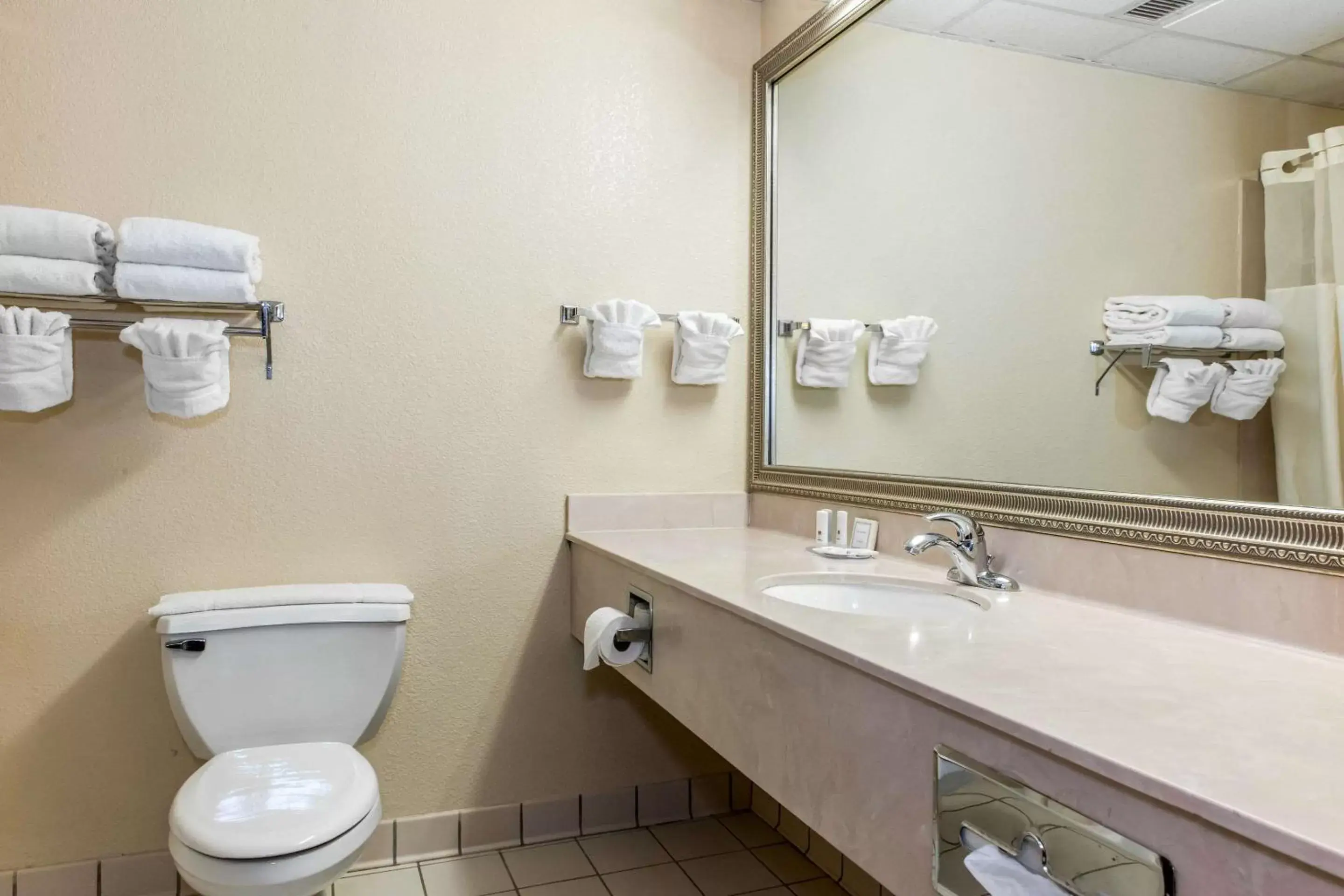 Bathroom in Clarion Inn & Suites Northwest