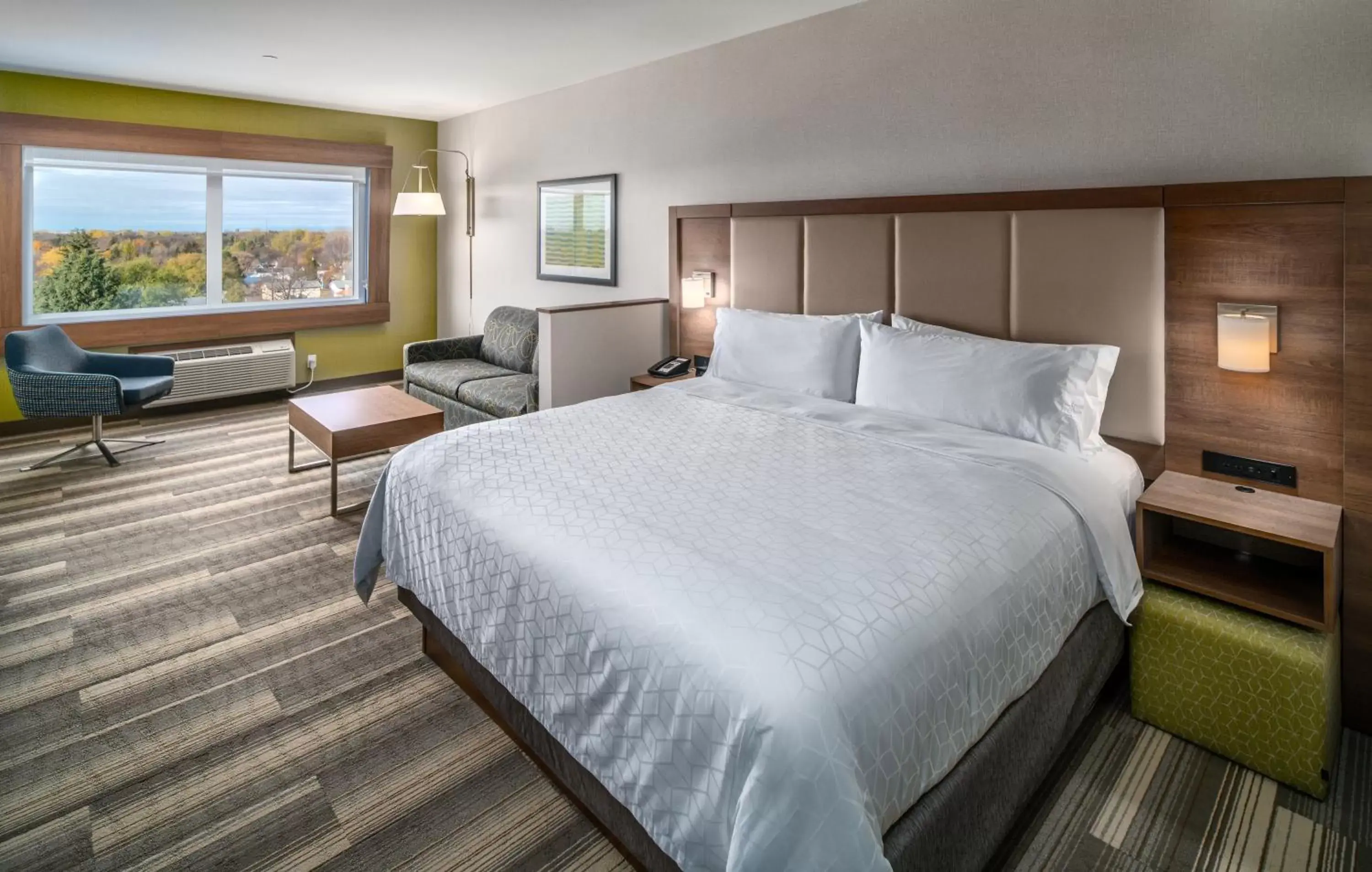 Photo of the whole room, Bed in Holiday Inn Express & Suites - Brandon, an IHG Hotel