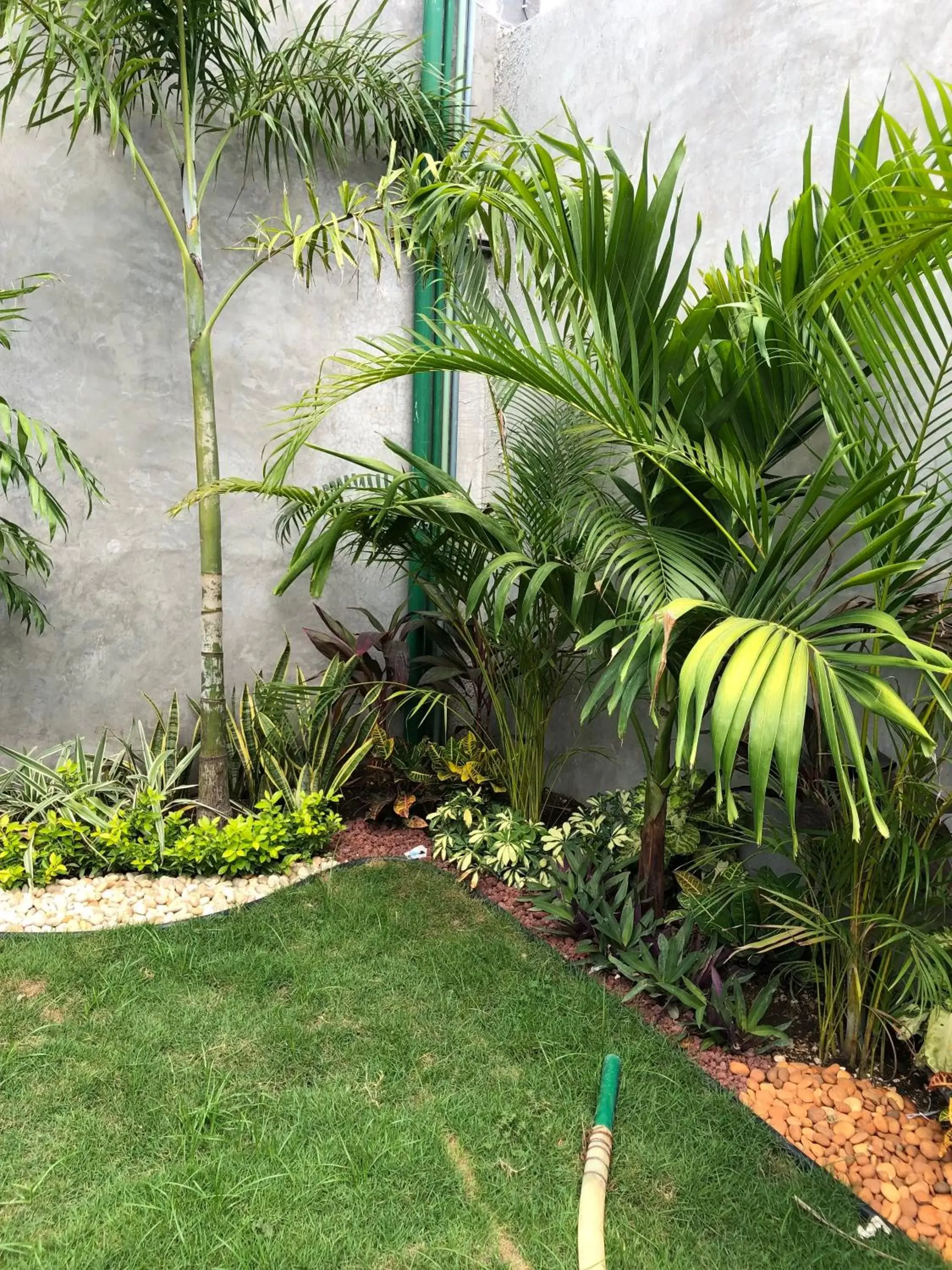 Garden in Hotel Suites La Negra Boutique