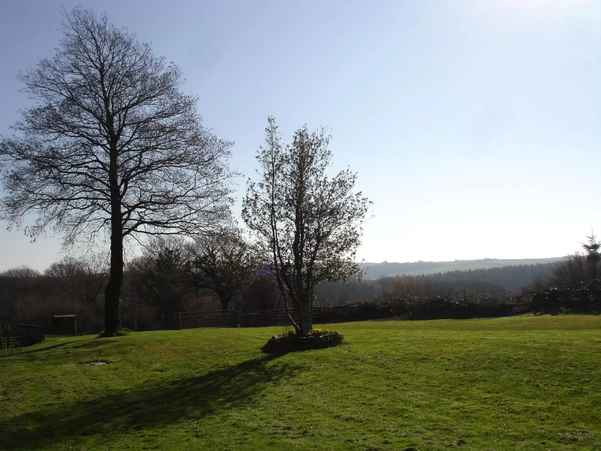 Garden in Leworthy Farmhouse Bed and Breakfast