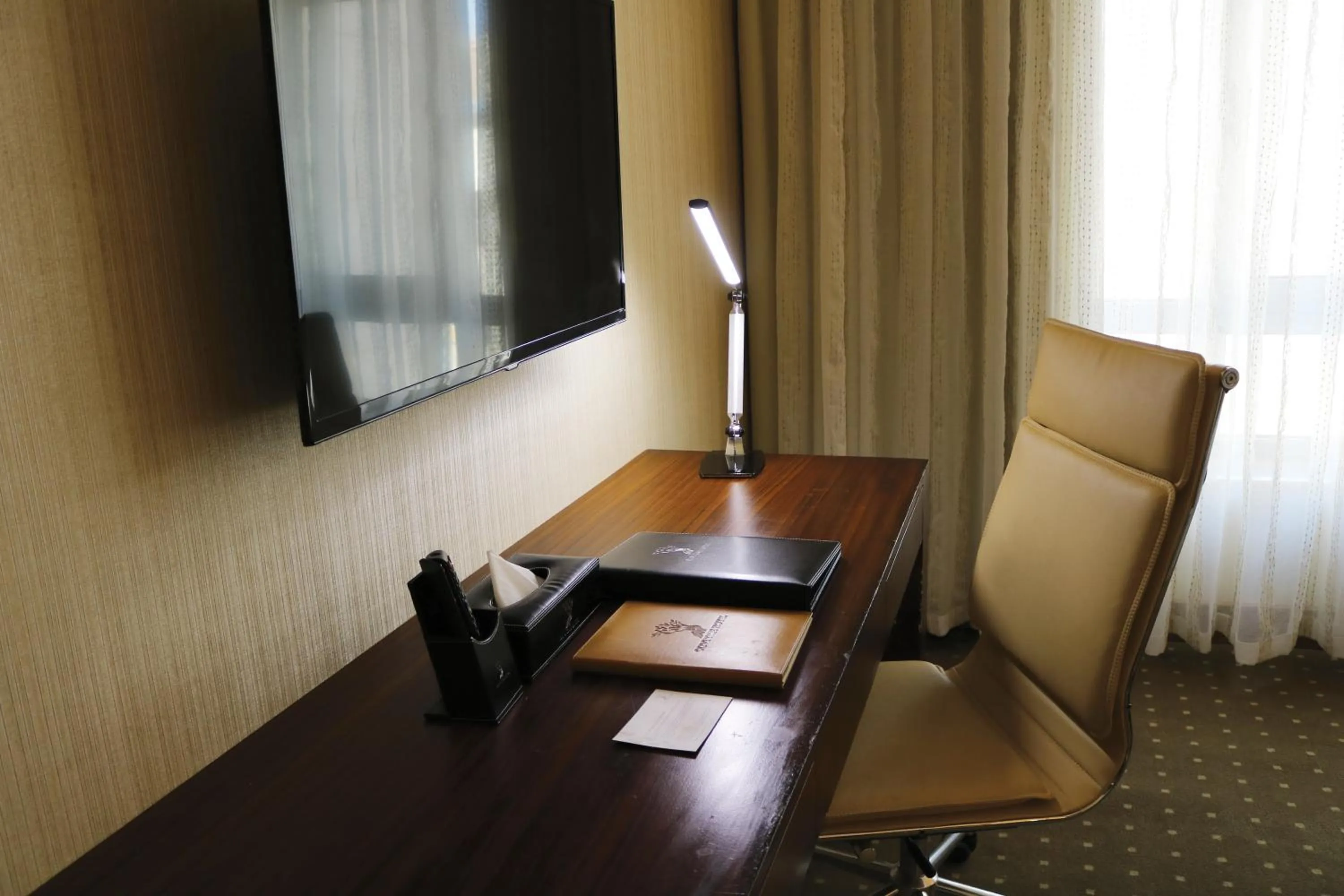 TV and multimedia in Olive Tree Amman