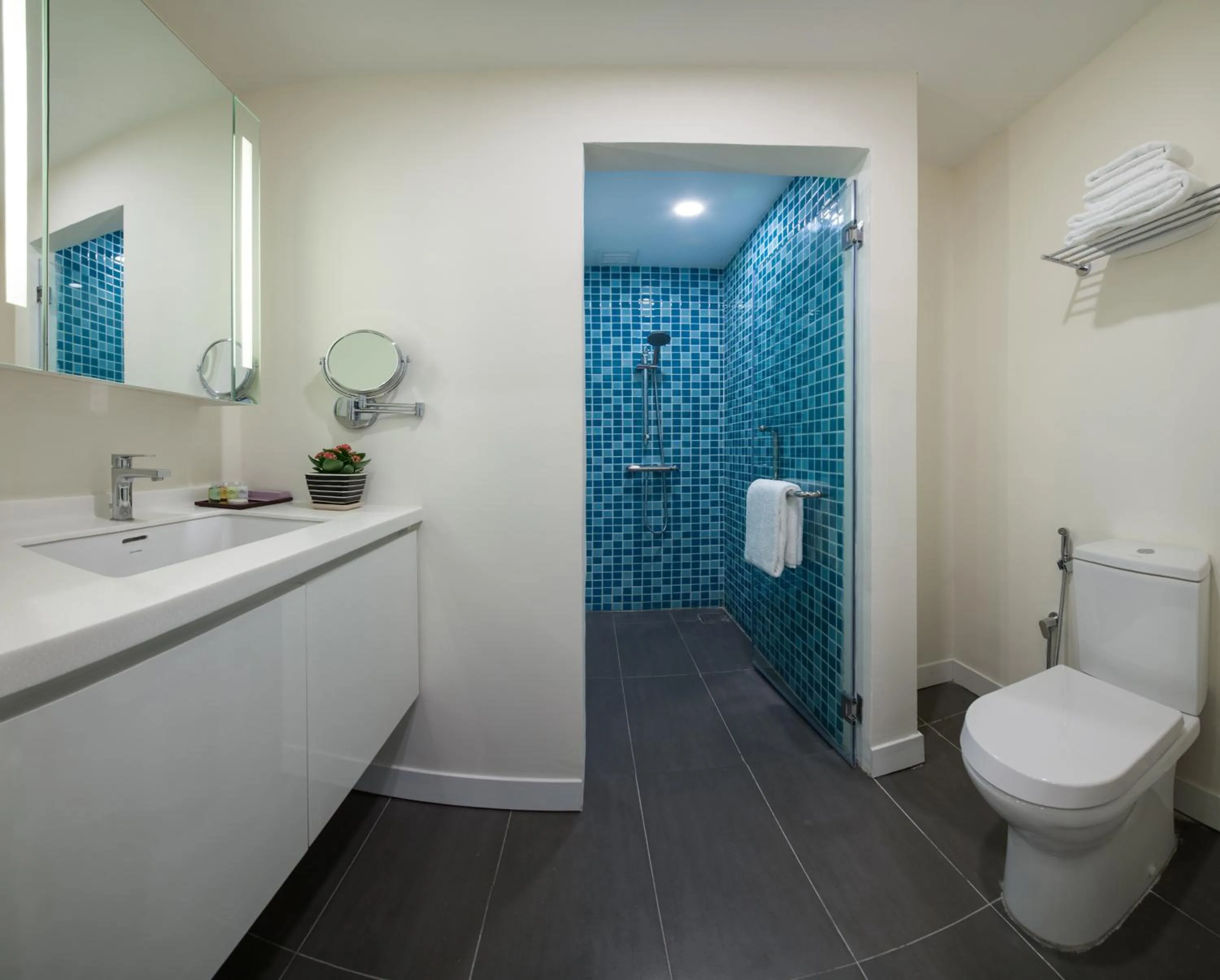 Bathroom in Citadines DPulze Cyberjaya