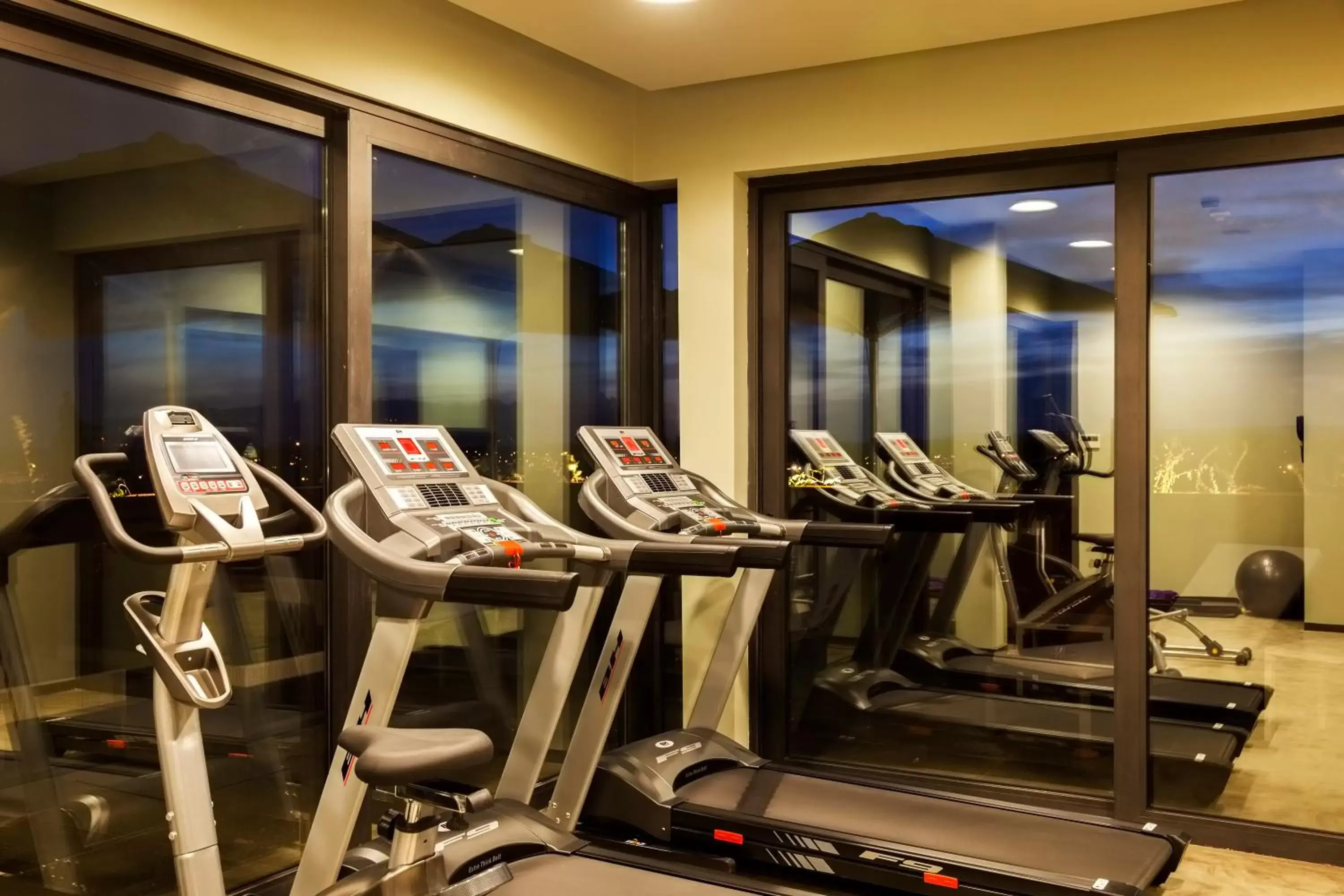Fitness centre/facilities, Fitness Center/Facilities in Vitoria Stone Hotel