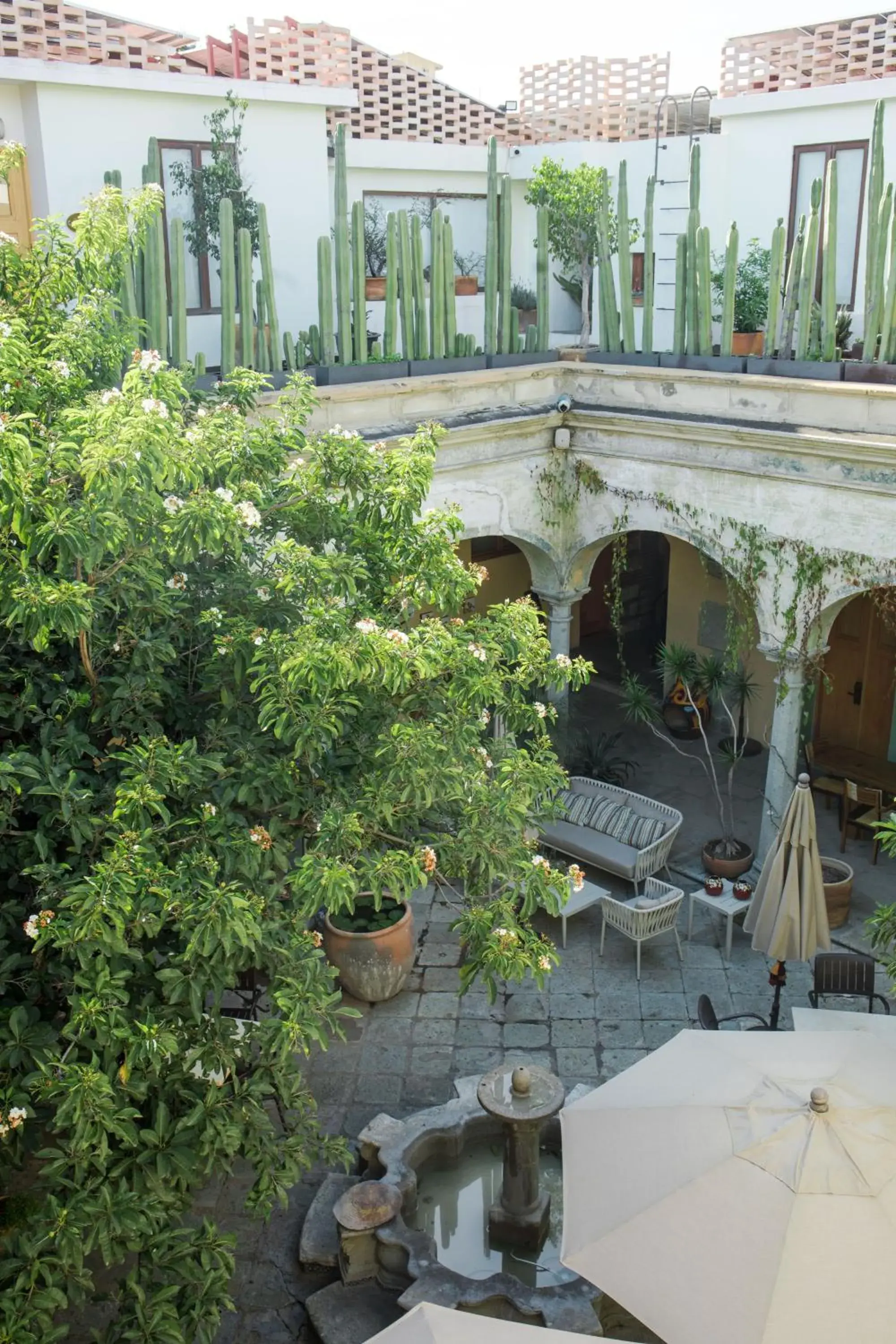 Patio in Casa De Sierra Azul