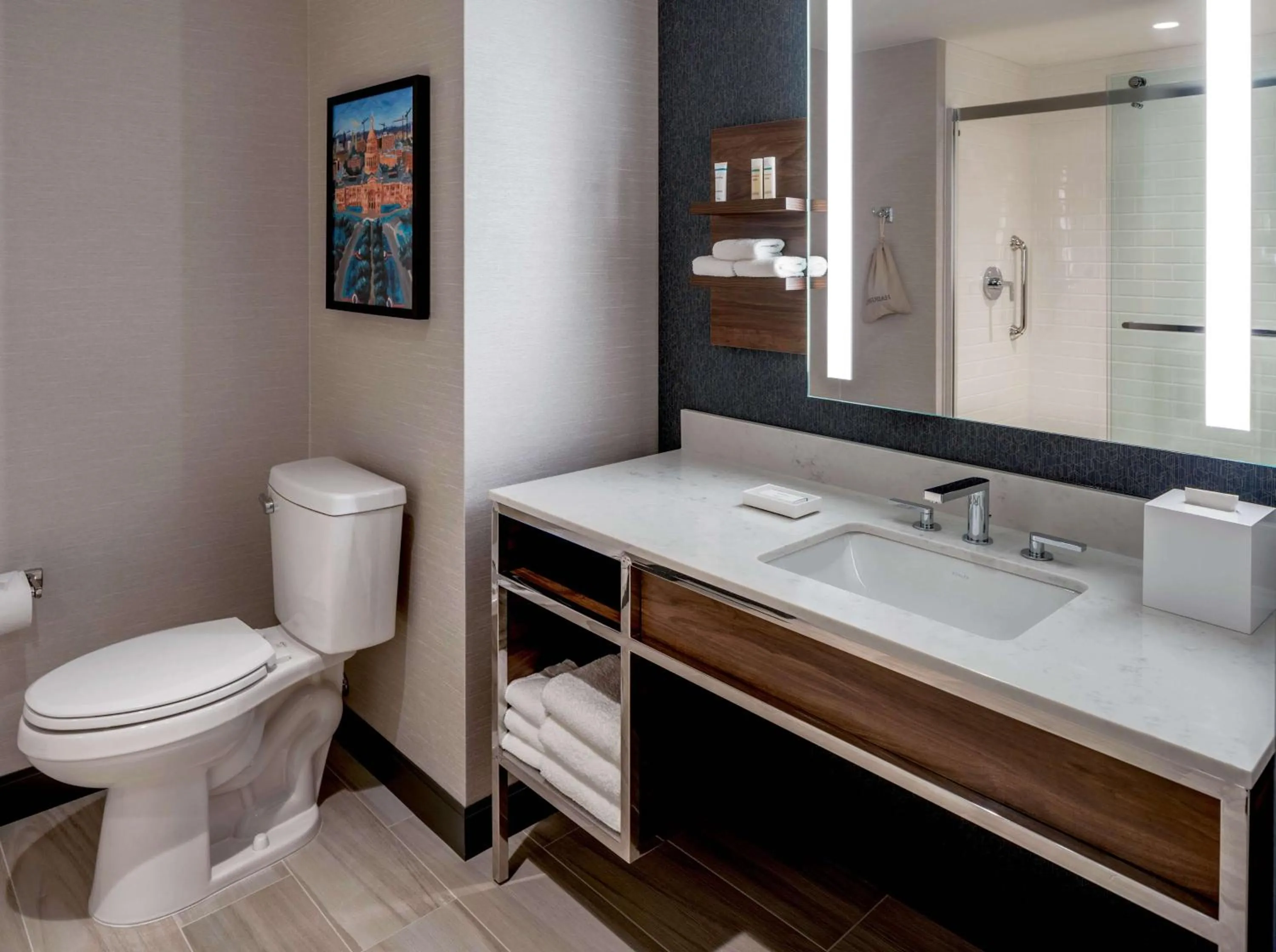 Bathroom in Hilton Garden Inn Austin University Capitol District