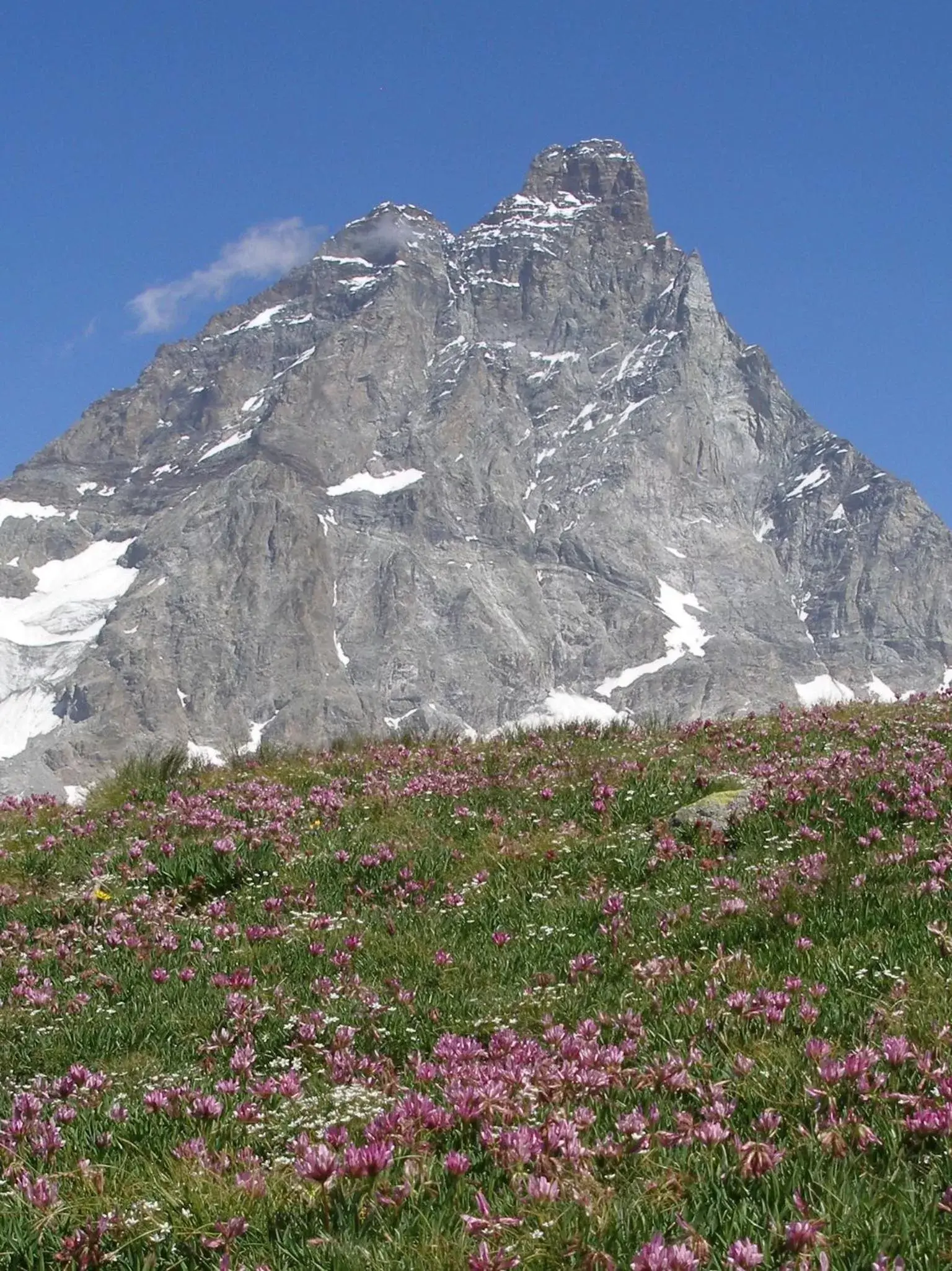 Natural Landscape in Hotel Dama Bianca