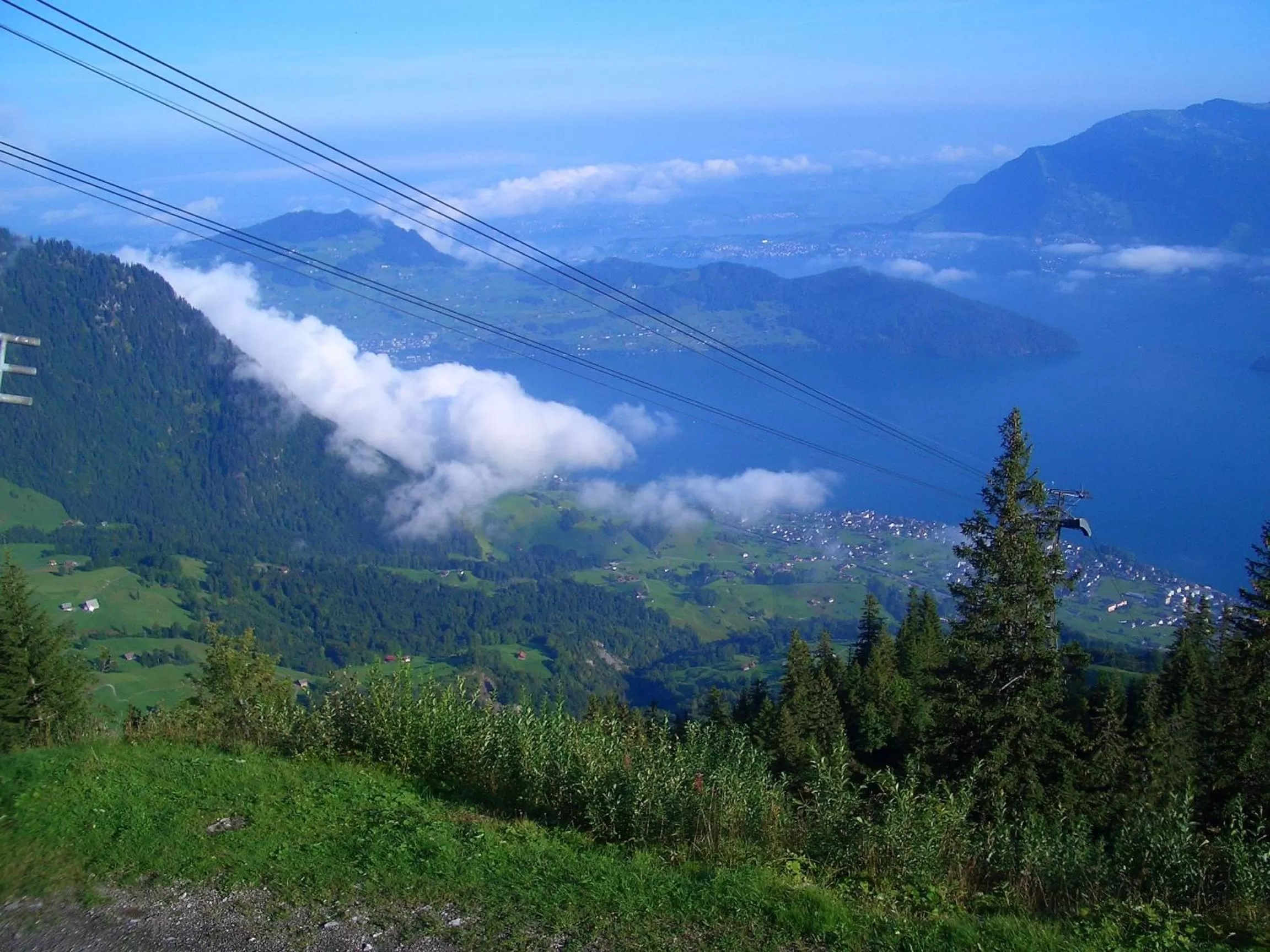 Area and facilities in Hotel Nidwaldnerhof direkt am See