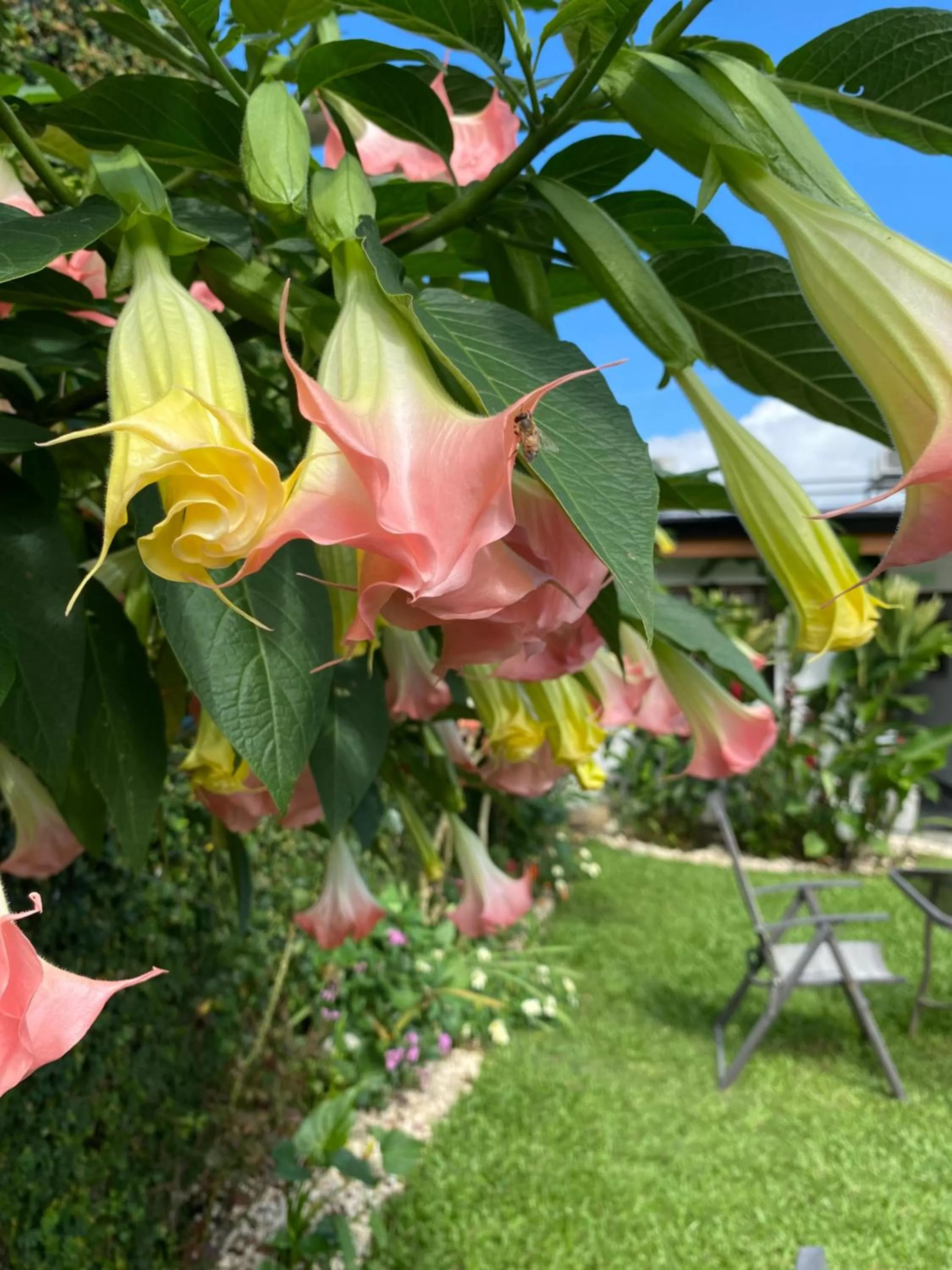 Garden in Berlor Airport Inn