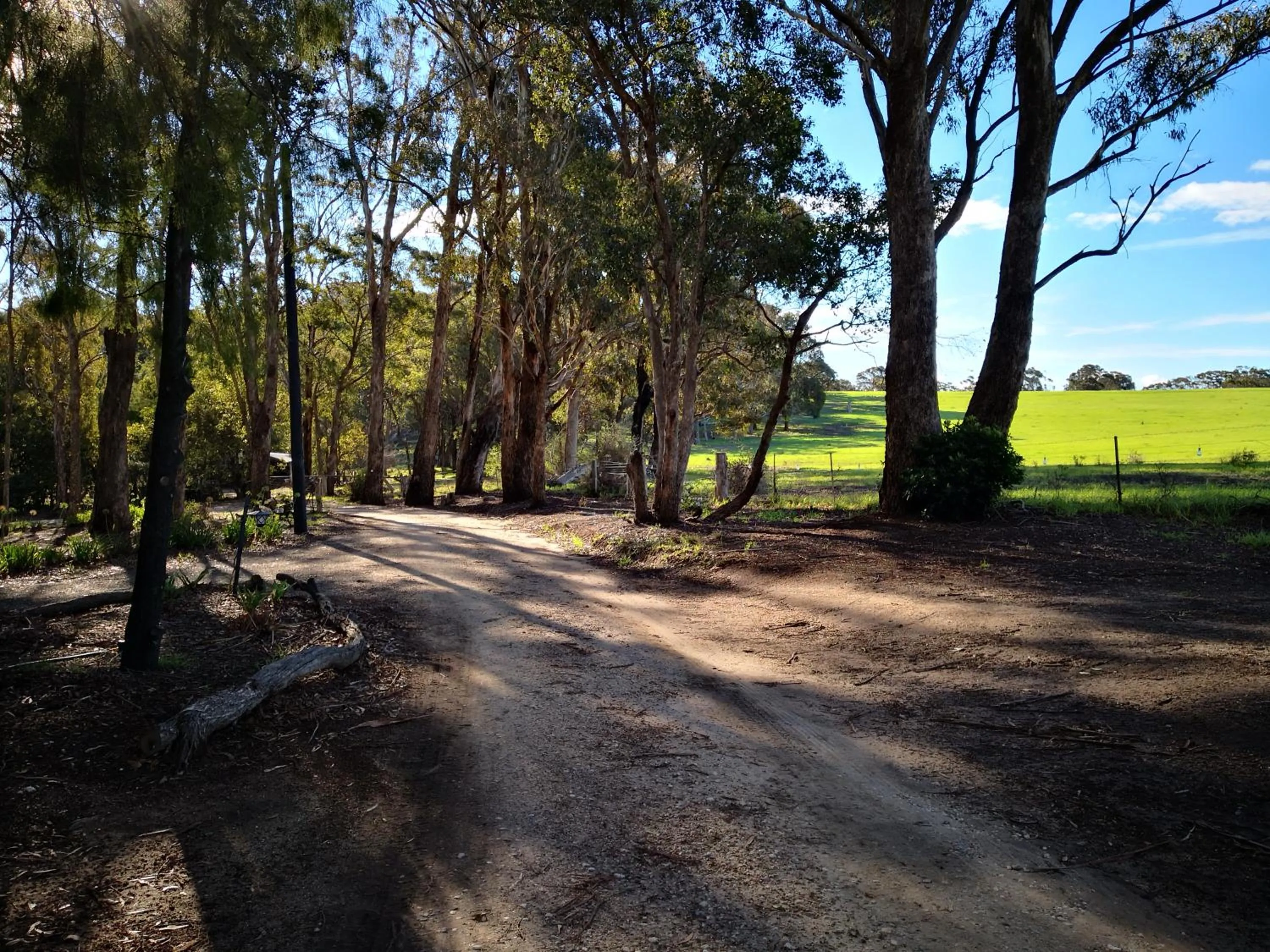Natural landscape in Kalimna Woods Cottages