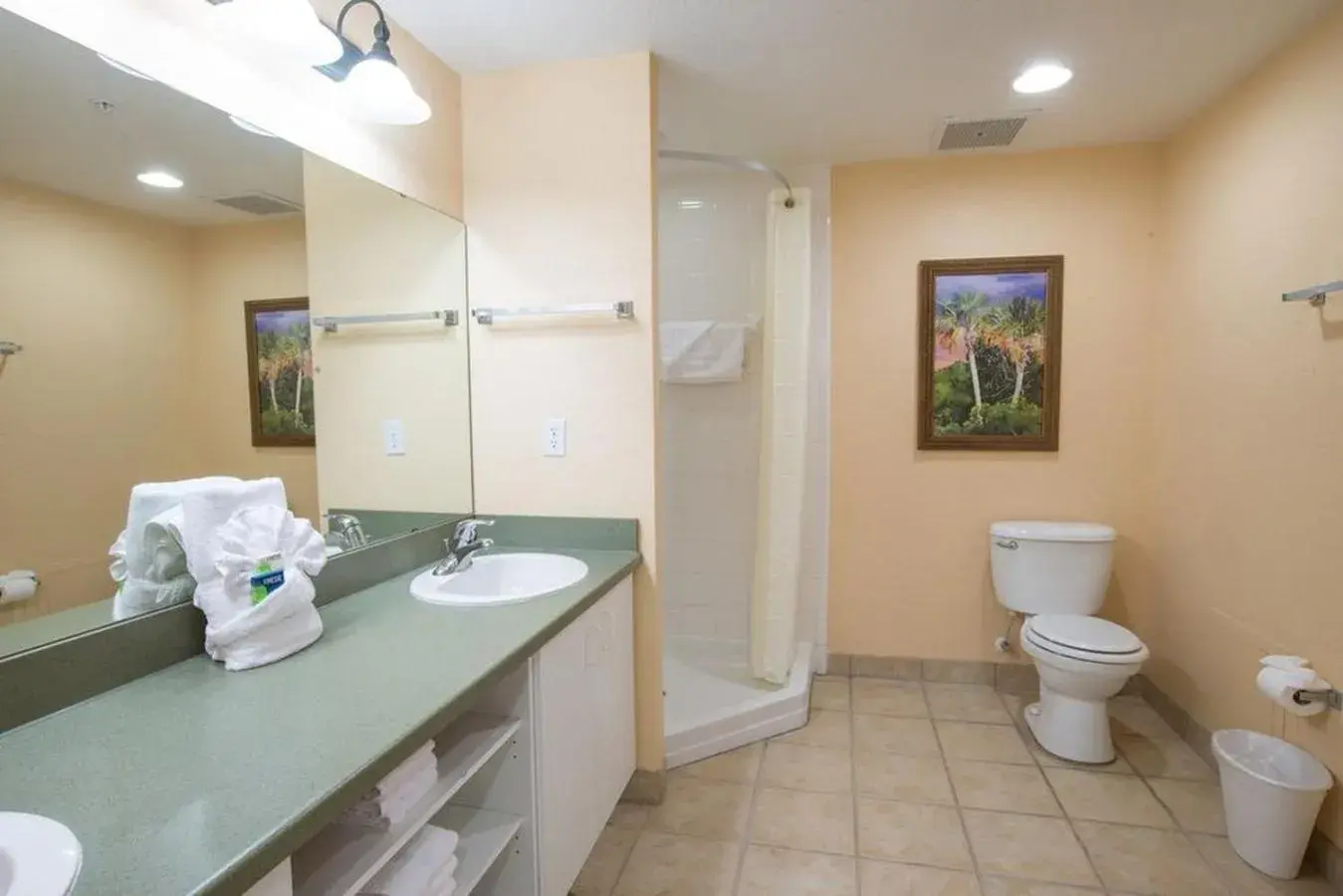 Shower, Bathroom in Vacation Village at Parkway