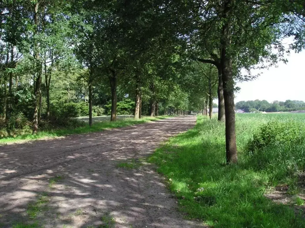 Quiet street view, Garden in 't Rond Bargie