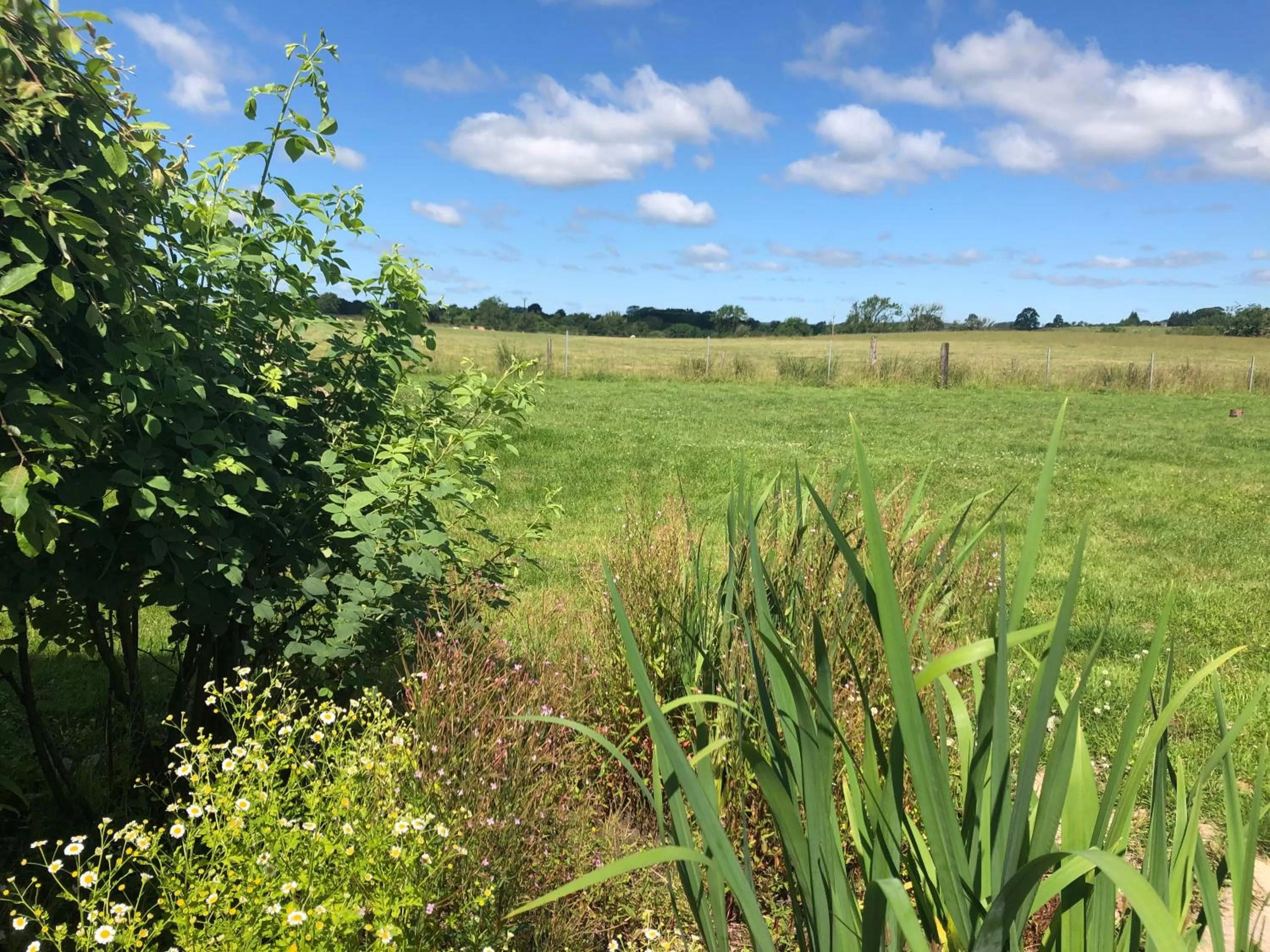 Garden, Natural Landscape in The Crossings