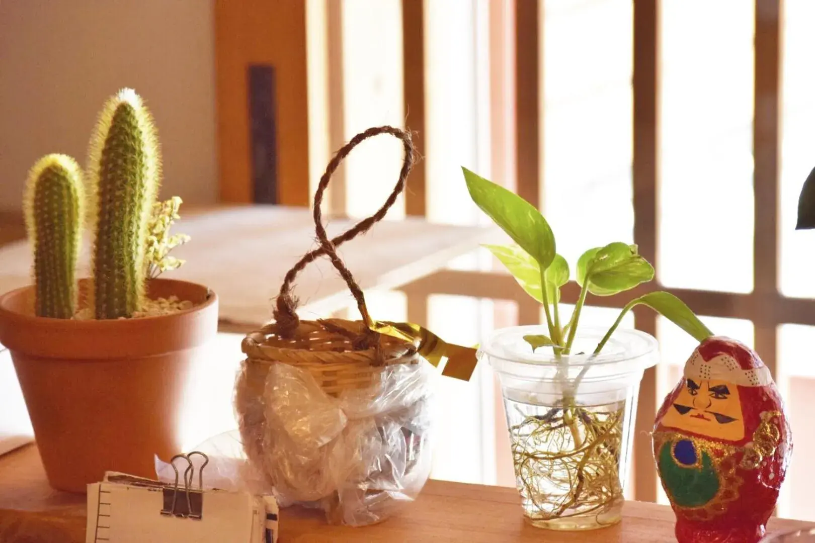 Facade/entrance in Fukuoka Guesthouse HIVE Facade/entrance in Fukuoka Guesthouse HIVE
