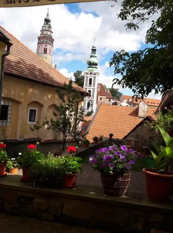 Garden in Hotel Peregrin