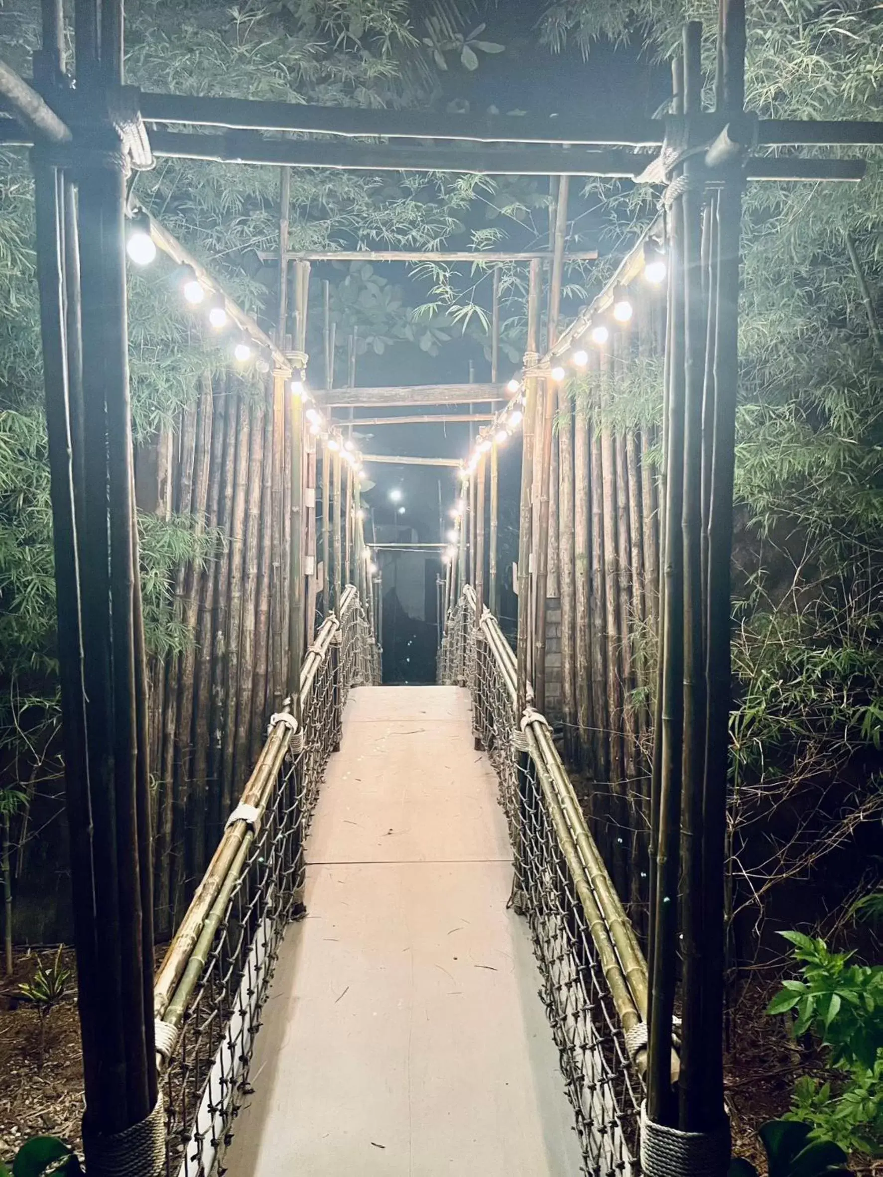 View (from property/room) in Palm Galleria Resort View (from property/room) in Palm Galleria Resort