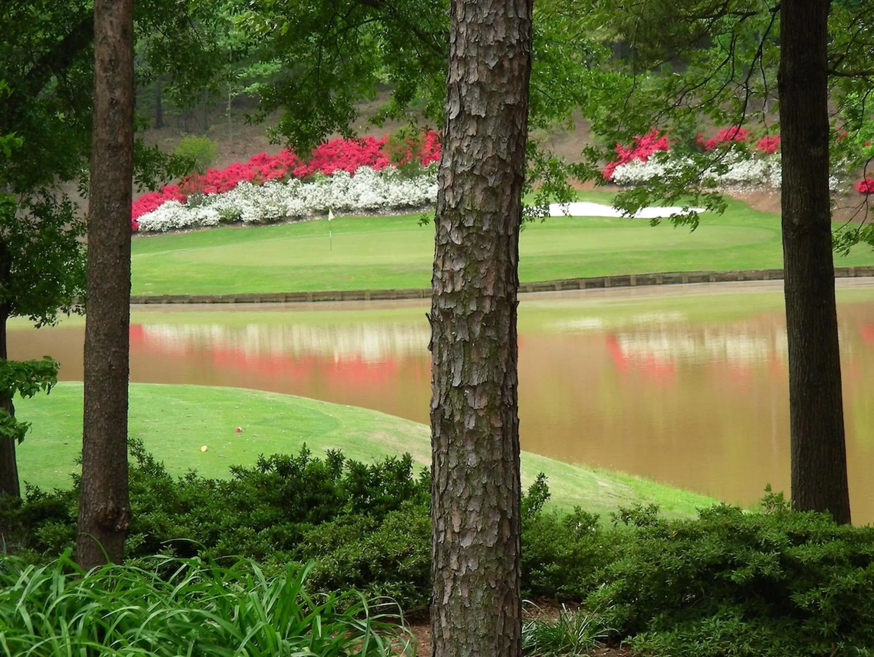 Golfcourse in Embassy Suites Greenville Golf Resort & Conference Center