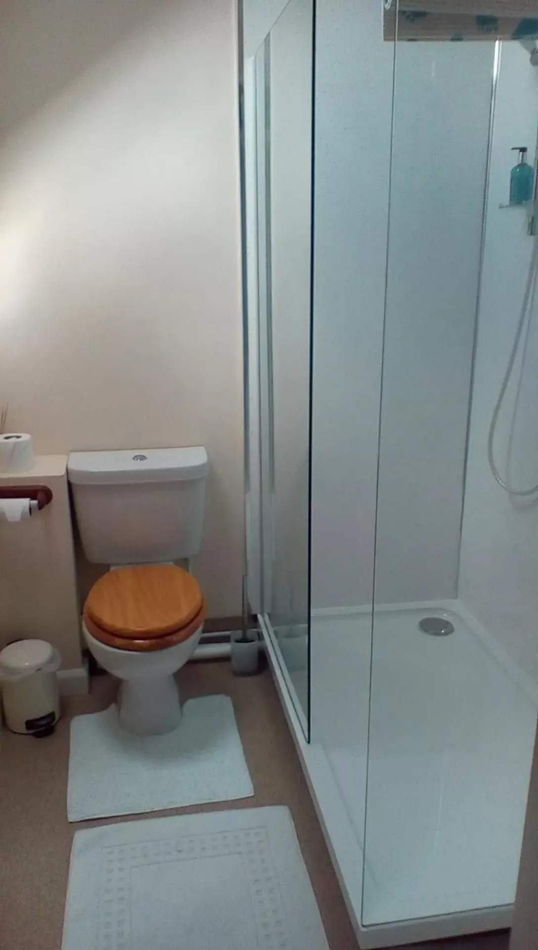 Toilet, Bathroom in The Lincolnshire Poacher Inn
