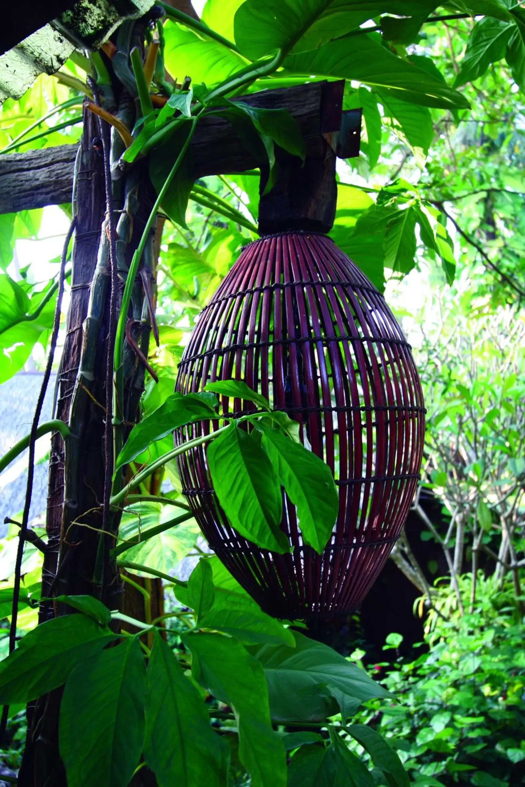 Other in Banpu Koh Chang Resort