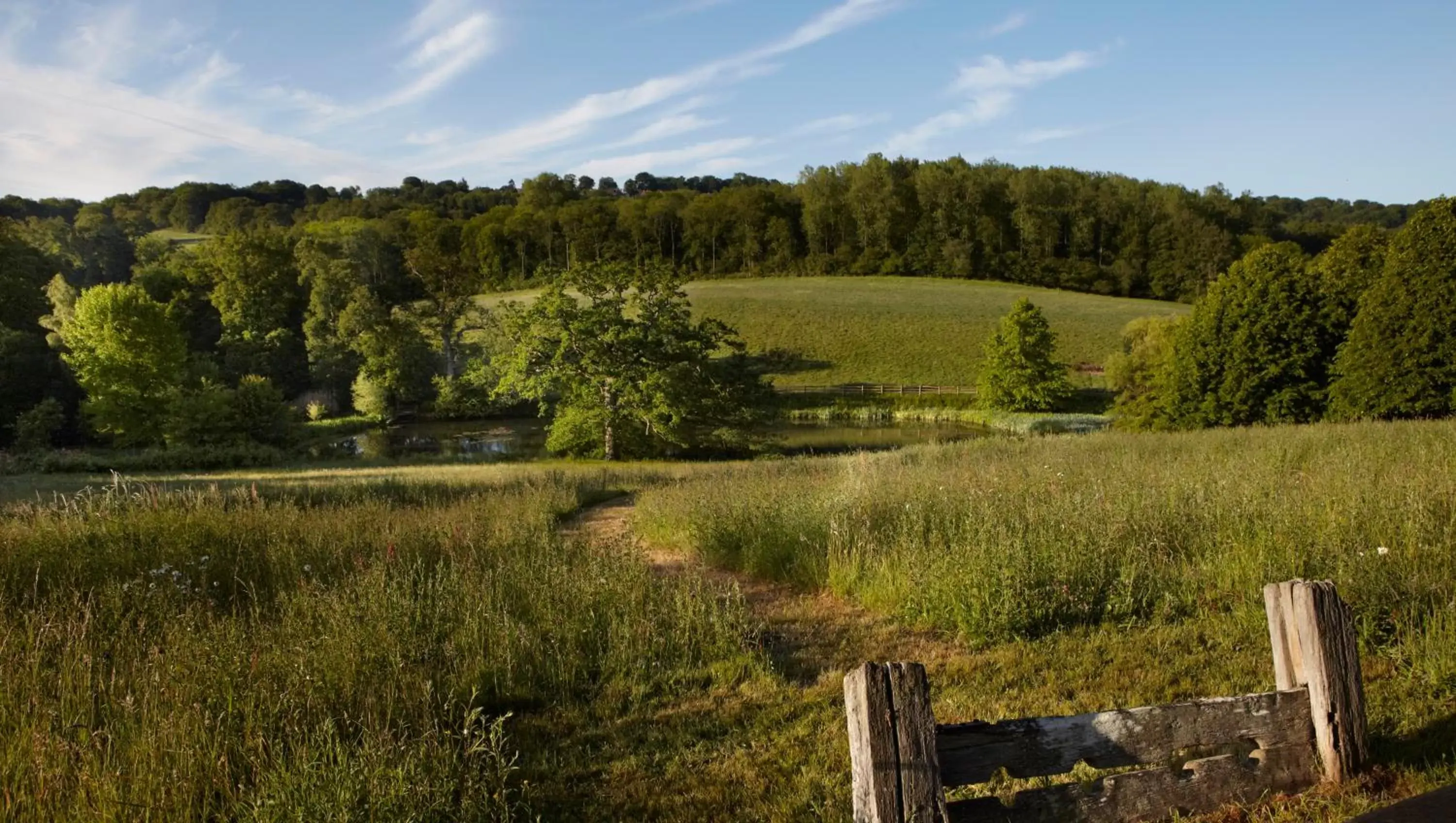 Day, Natural Landscape in Gravetye Manor