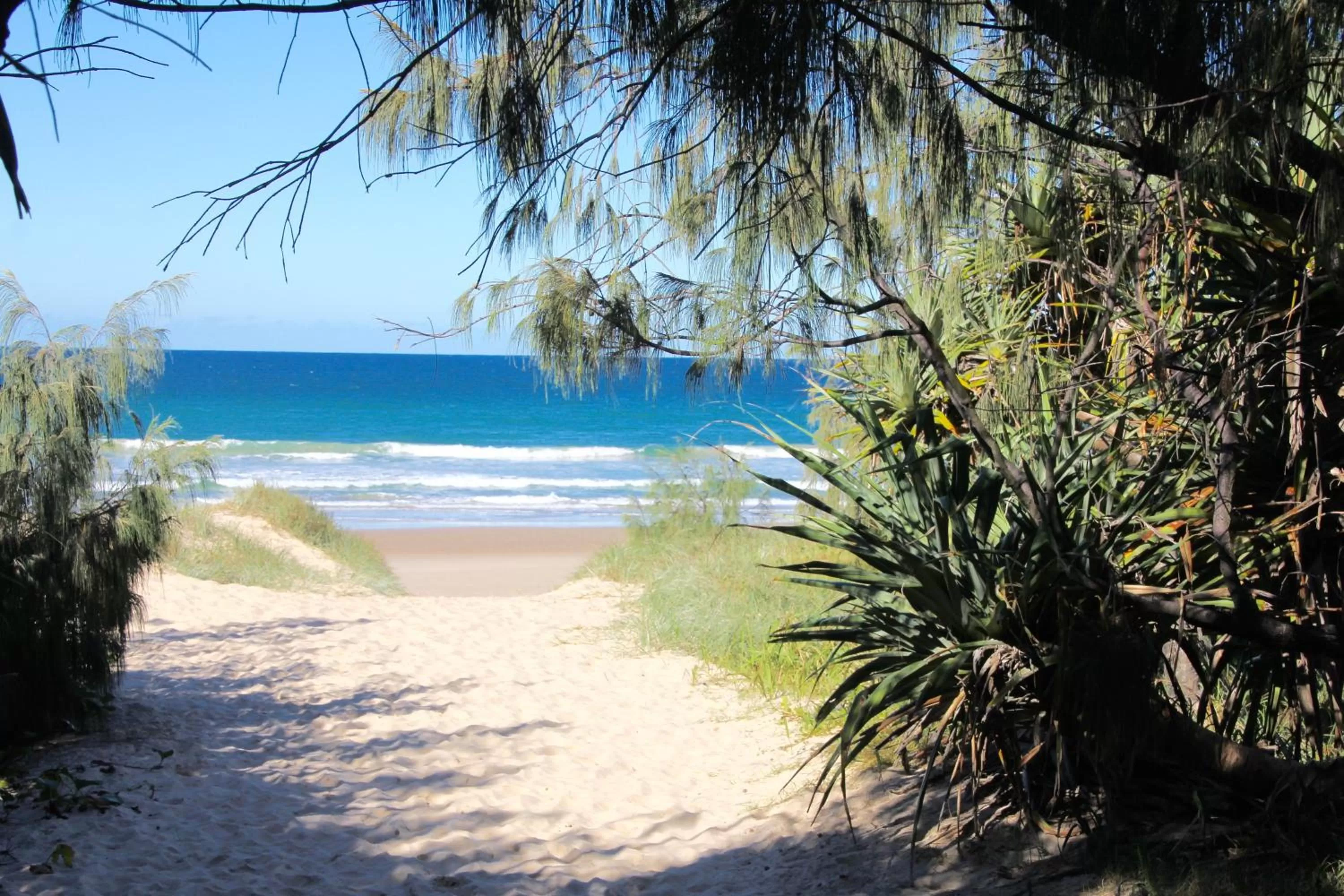 Beach in Hideaway Noosa Men Only Beach Resort