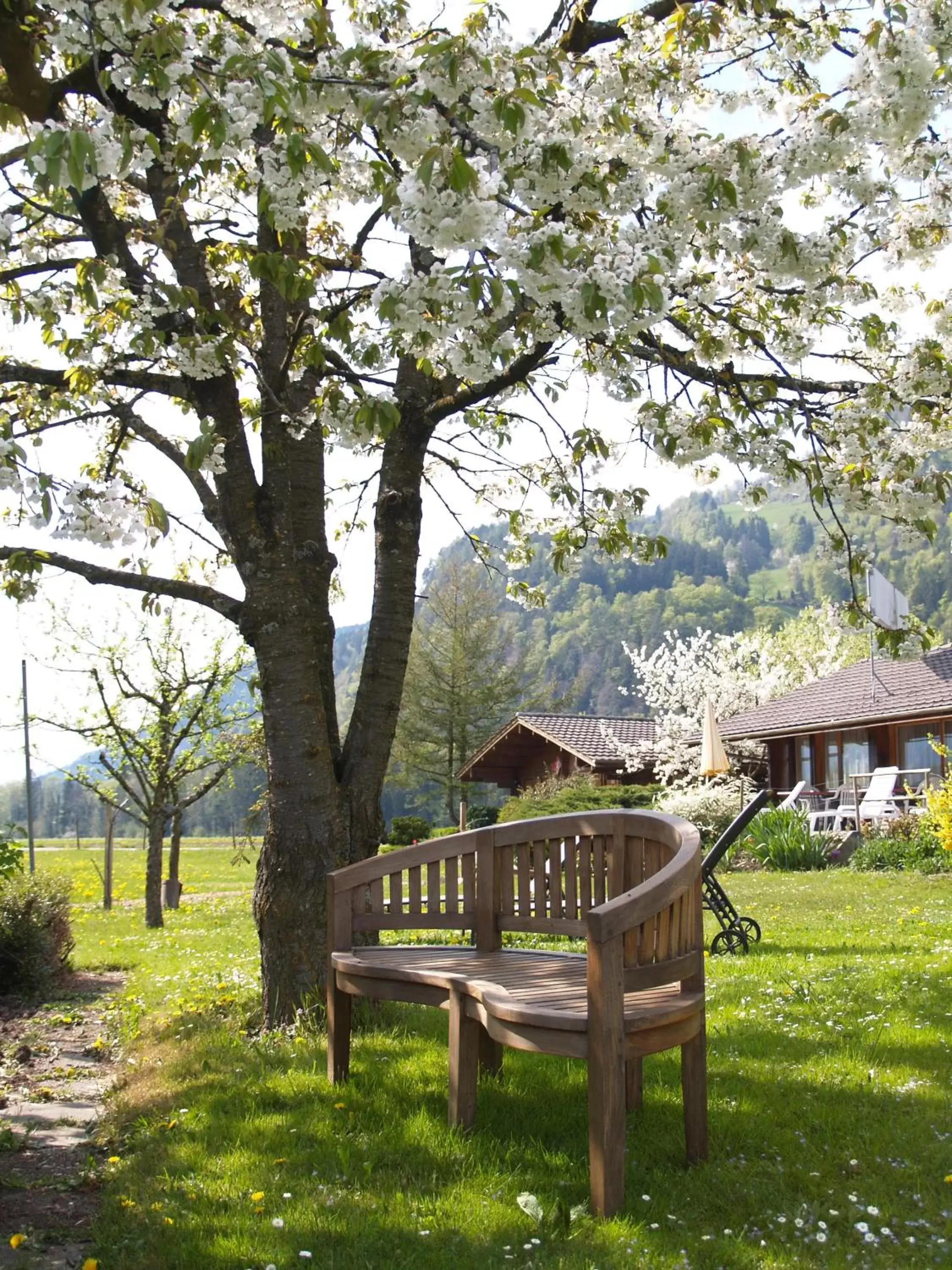 Garden in Salzano Basic Rooms Interlaken