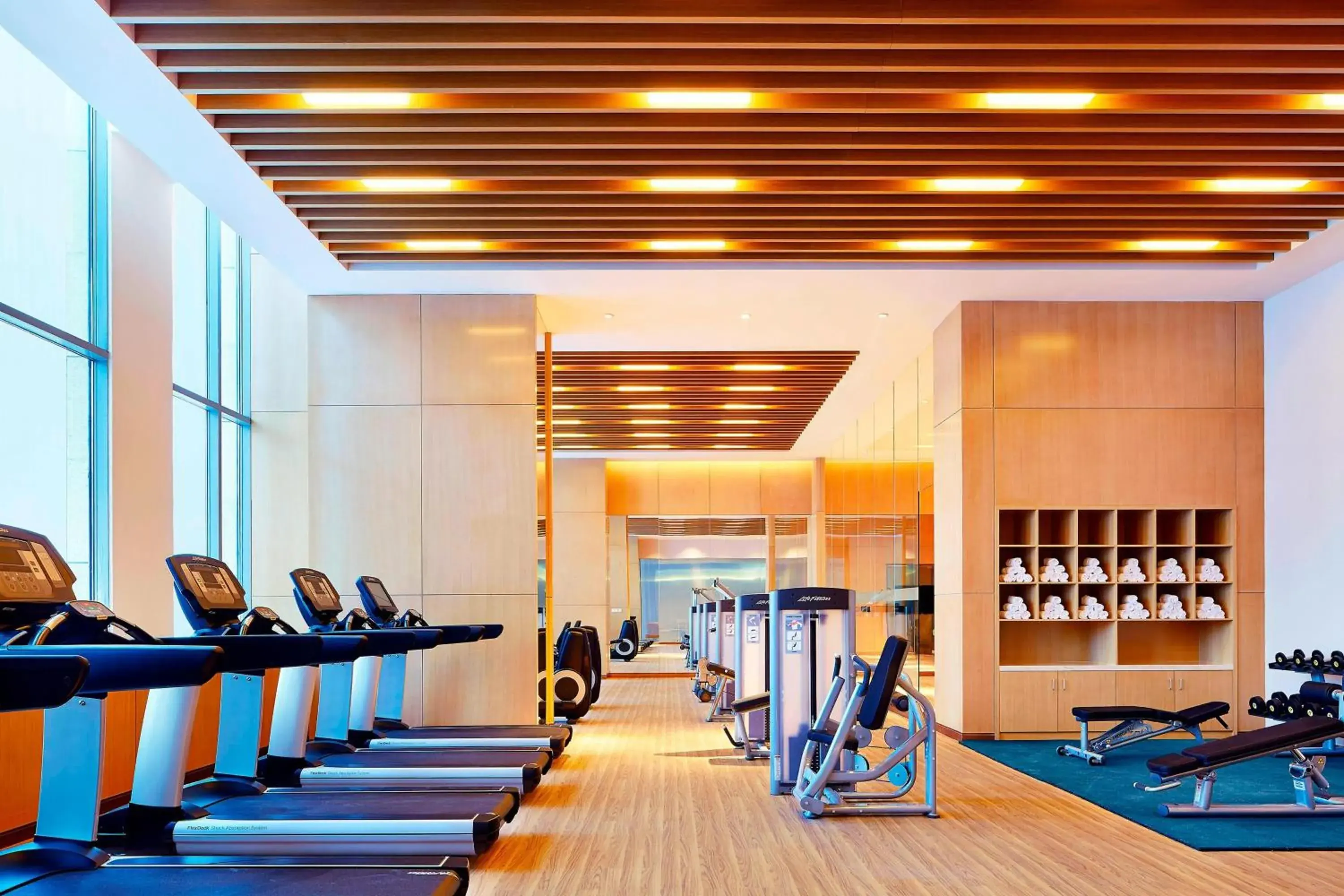 Fitness centre/facilities, Fitness Center/Facilities in Sheraton Harbin Xiangfang Hotel