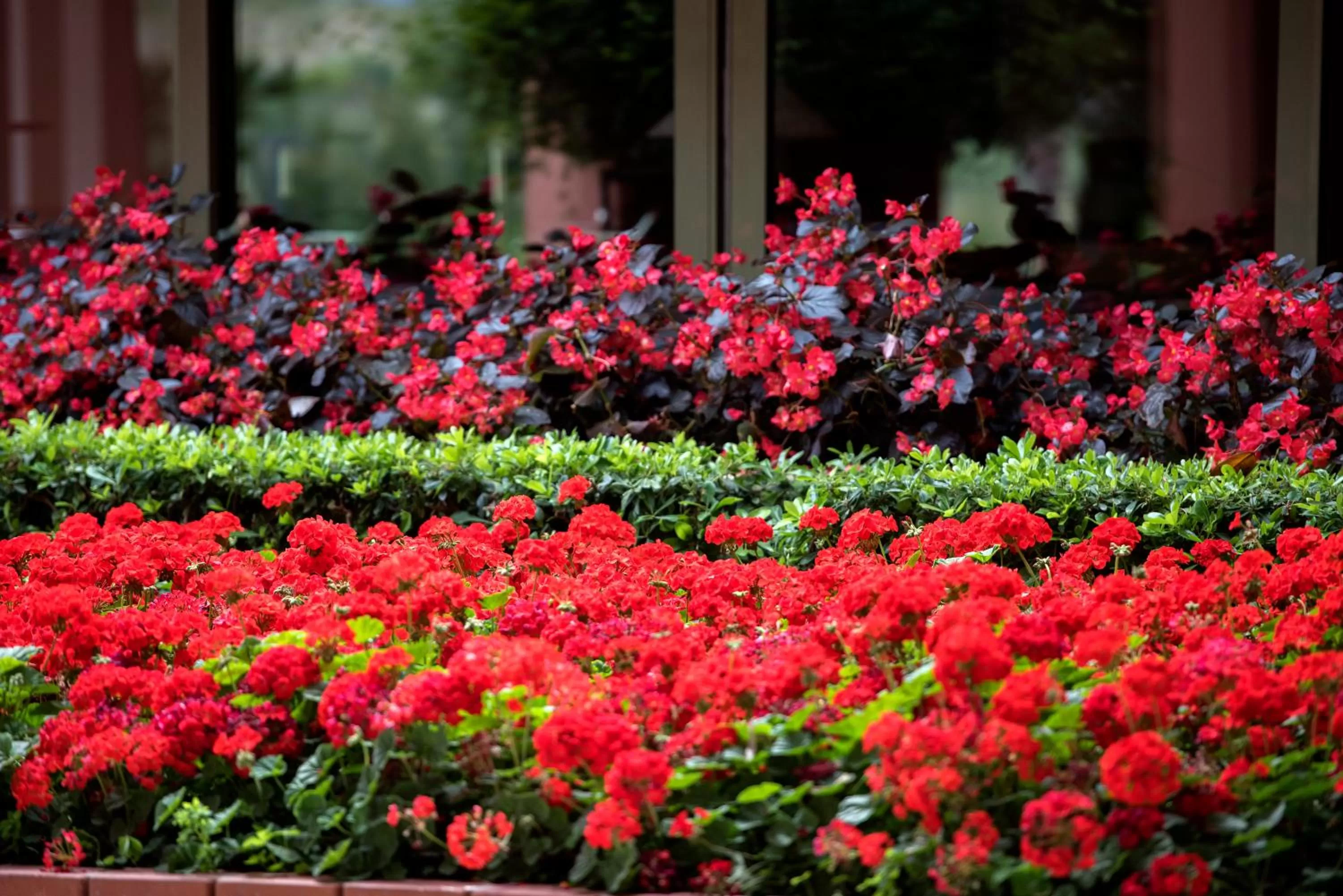 Day in Arum Barut Collection - Ultra All Inclusive