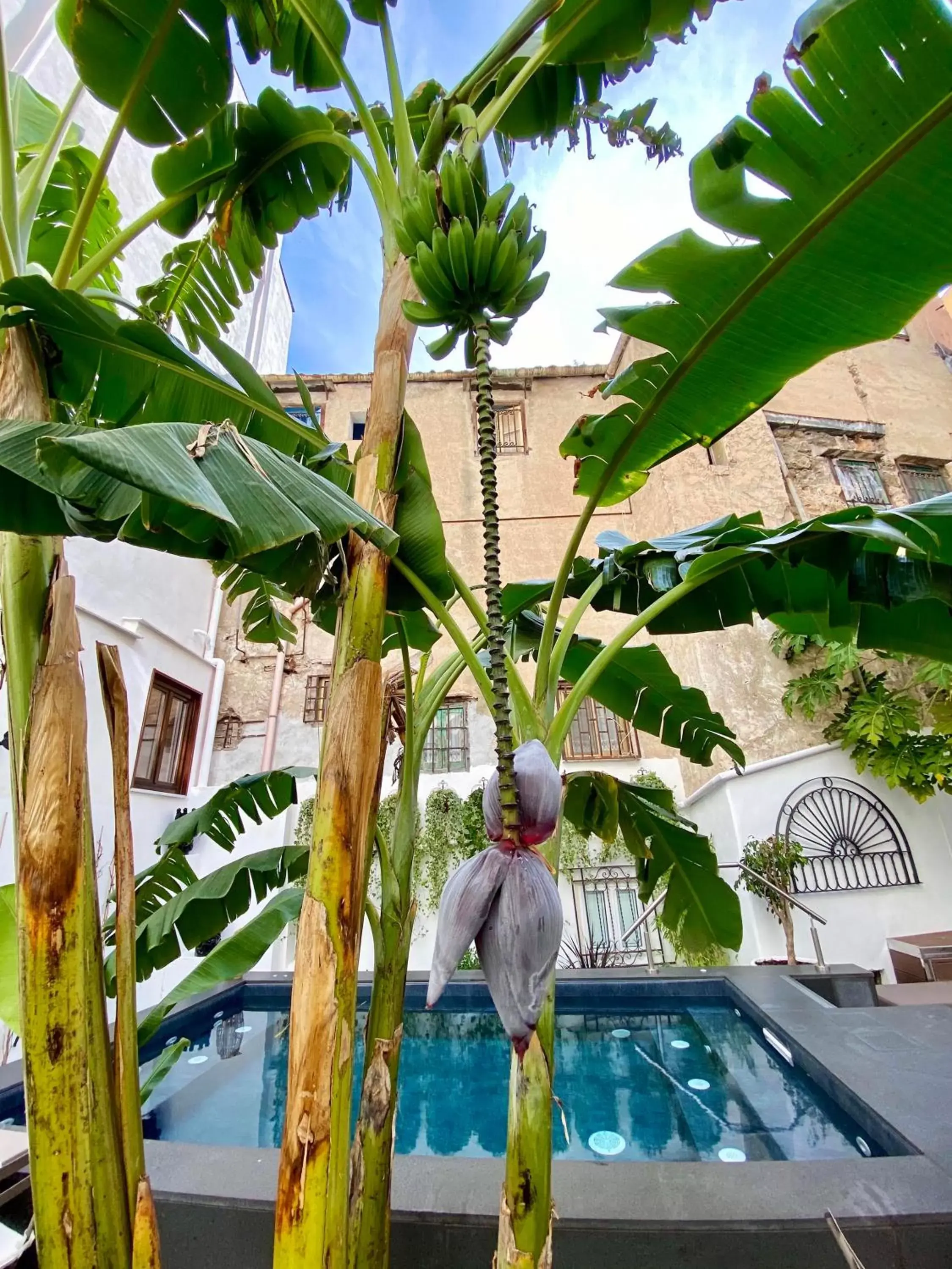 Garden, Pool View in Casa Nostra Luxury Suites