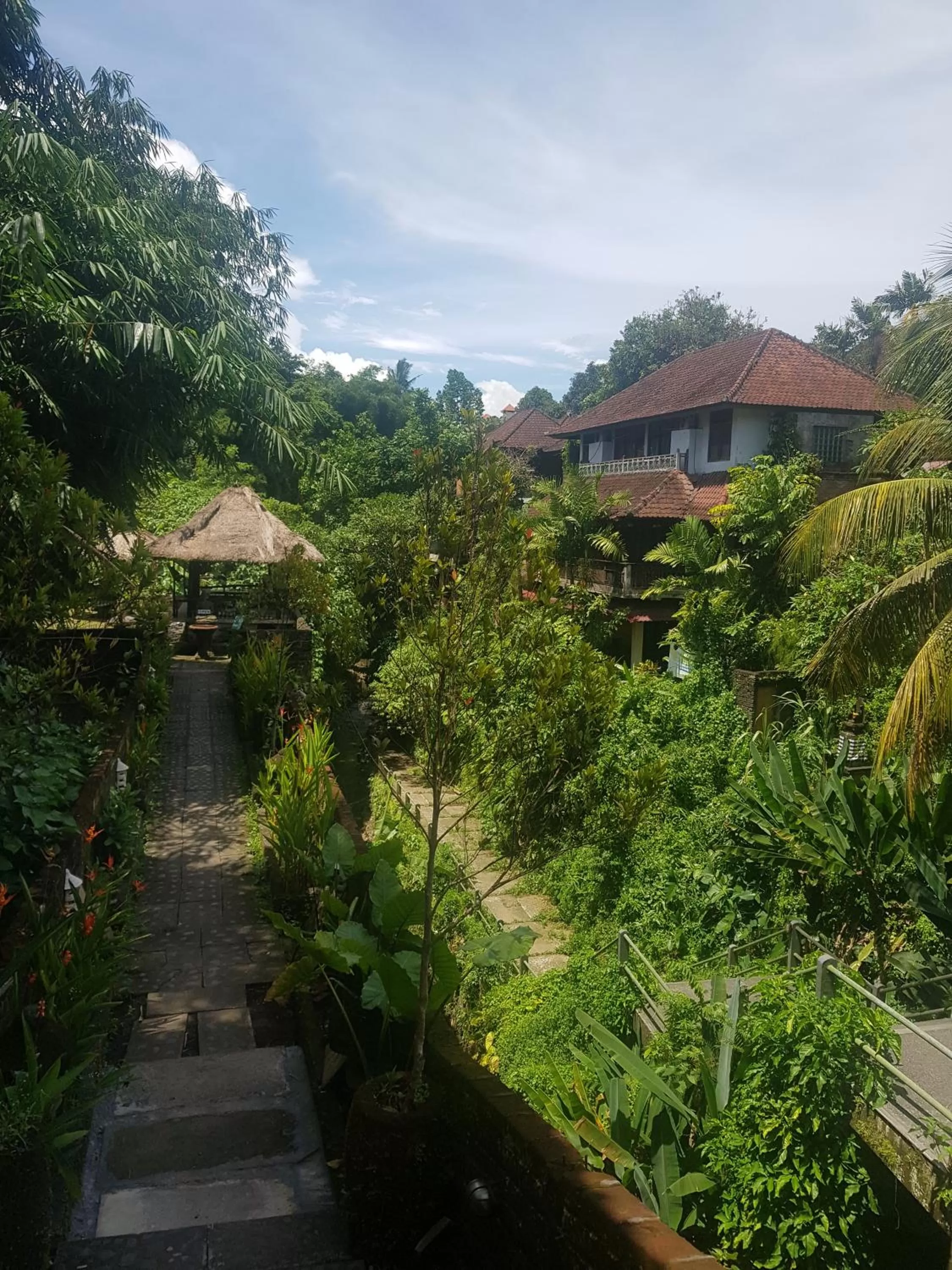 Natural landscape in 24/7 Bed & Breakfast