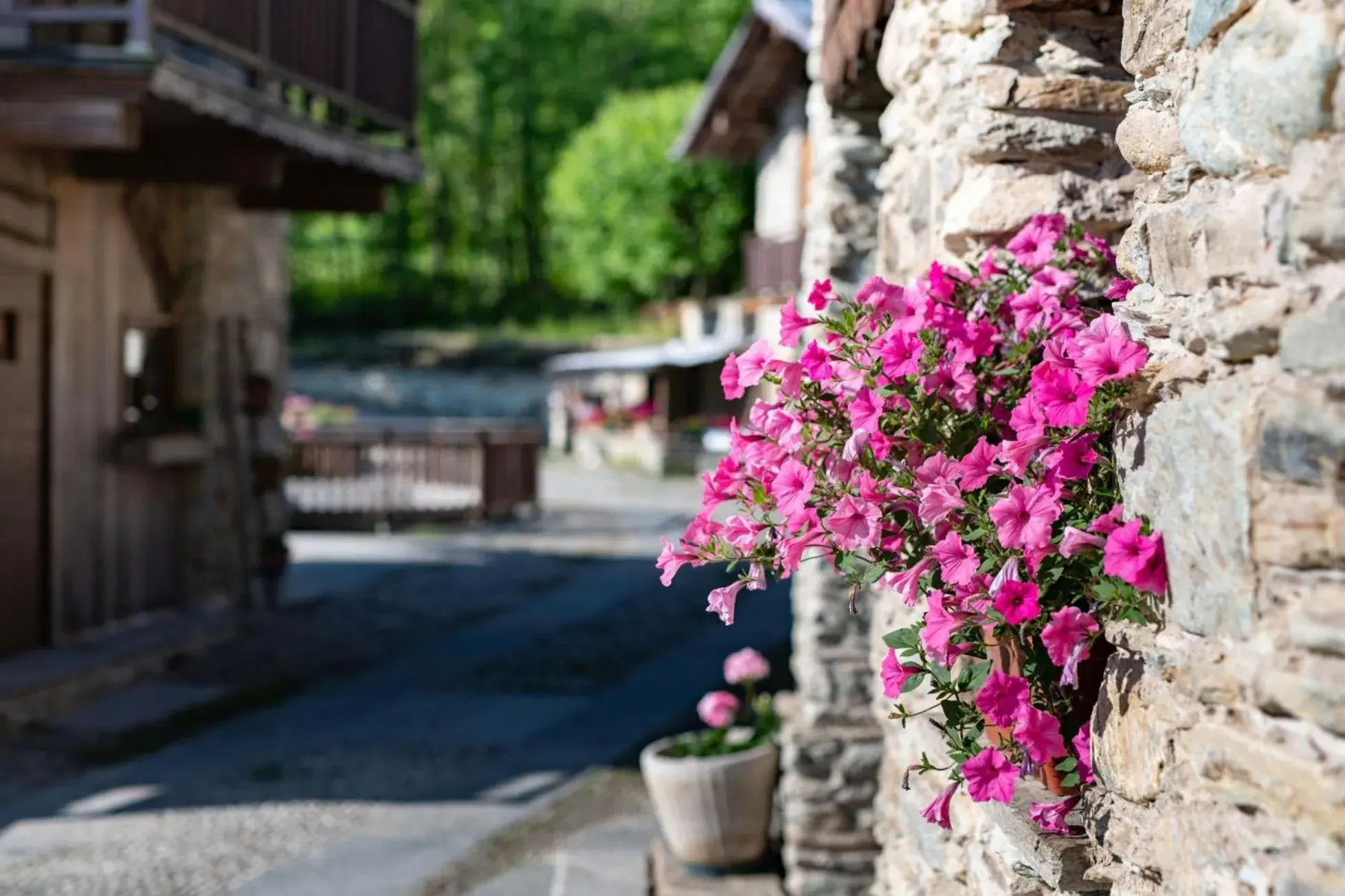 Facade/entrance in AGRITURISMO IL SOGNO DELLA VITA RESORT