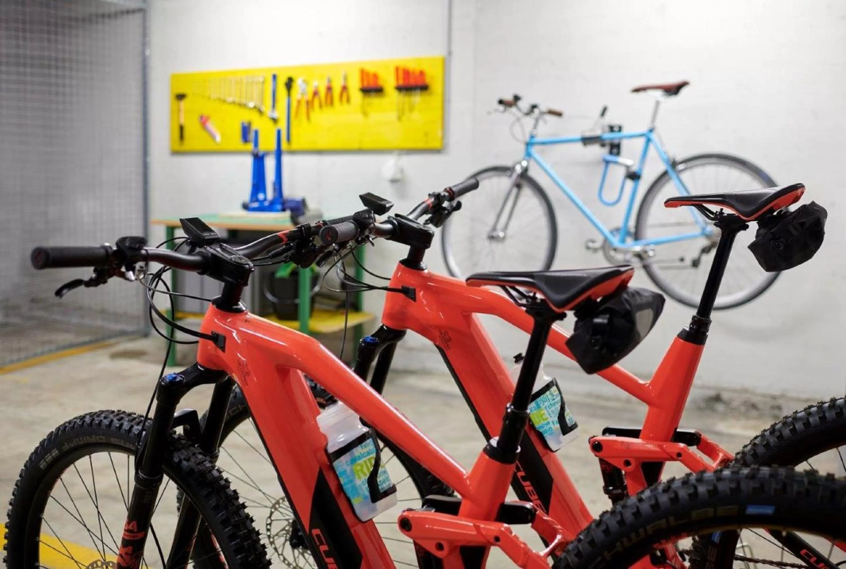 Cycling in Hotel Continental Park