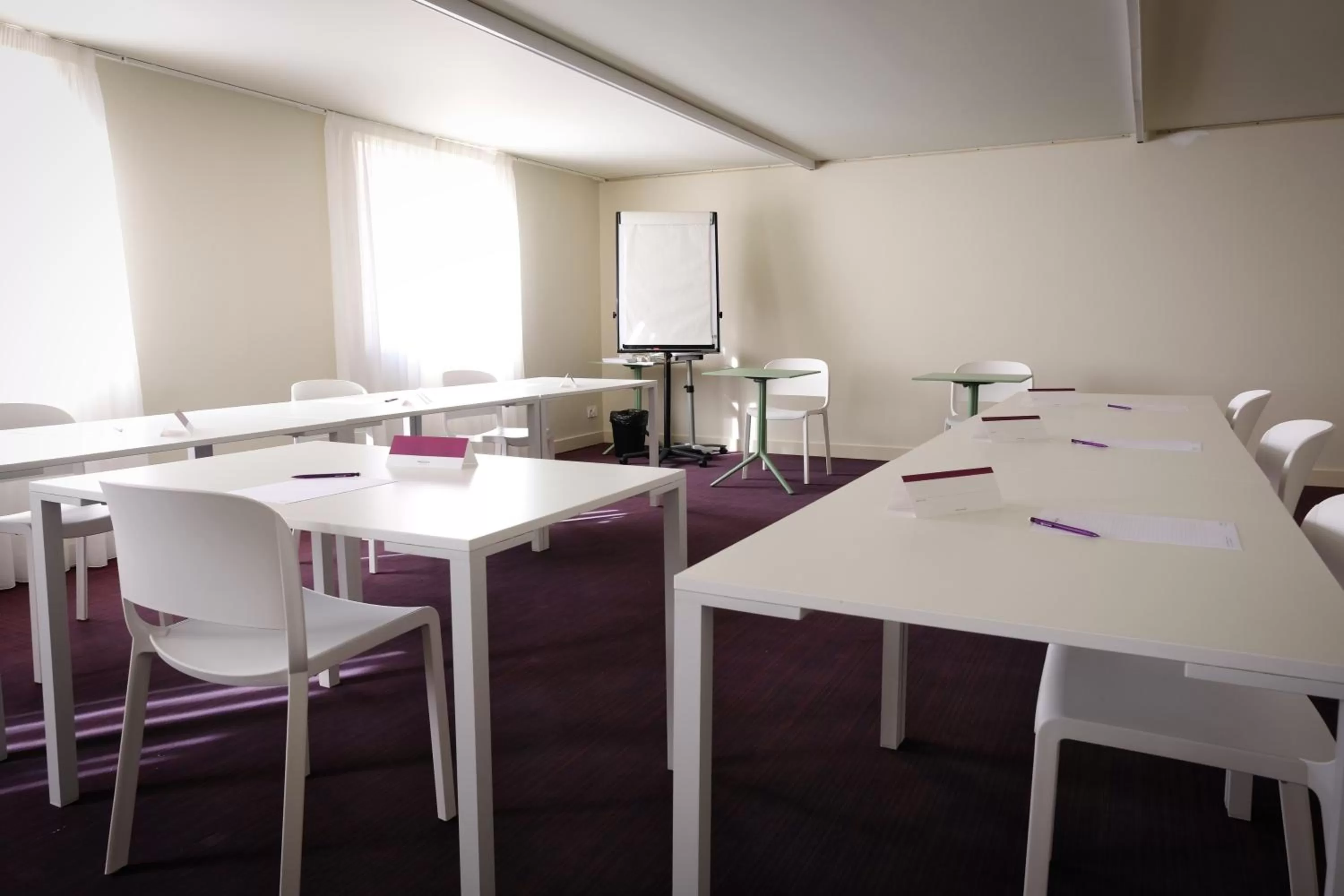 Business facilities in Mercure Perpignan Centre