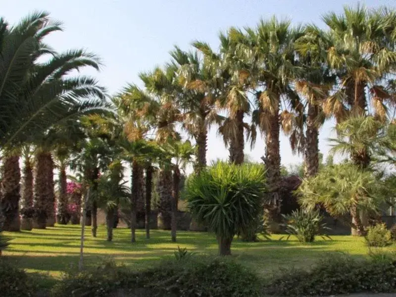 Garden in Il Gelso Bianco