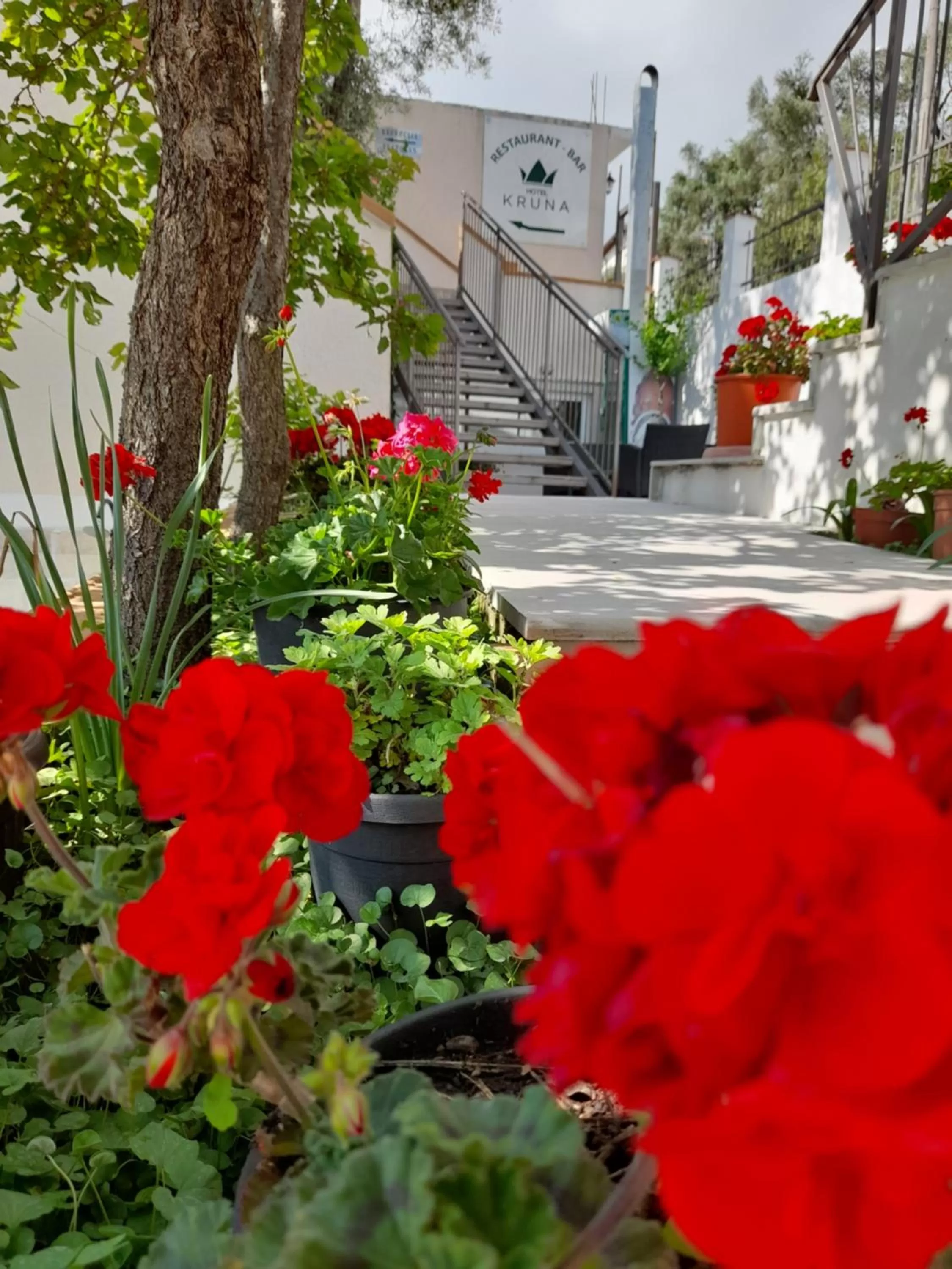 Garden in " Villa Kruna Lux "