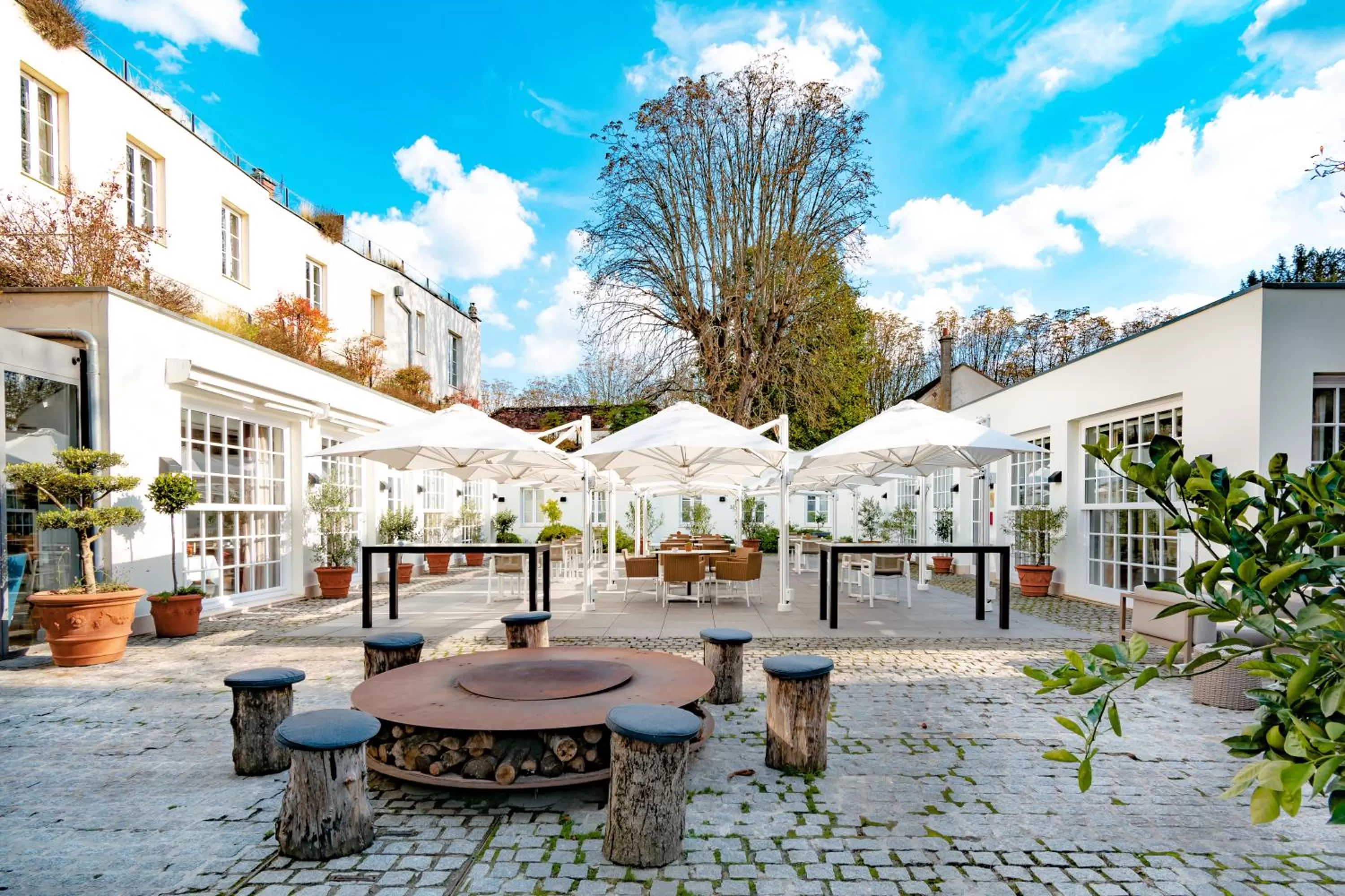 Garden in Hôtel de Cavoye