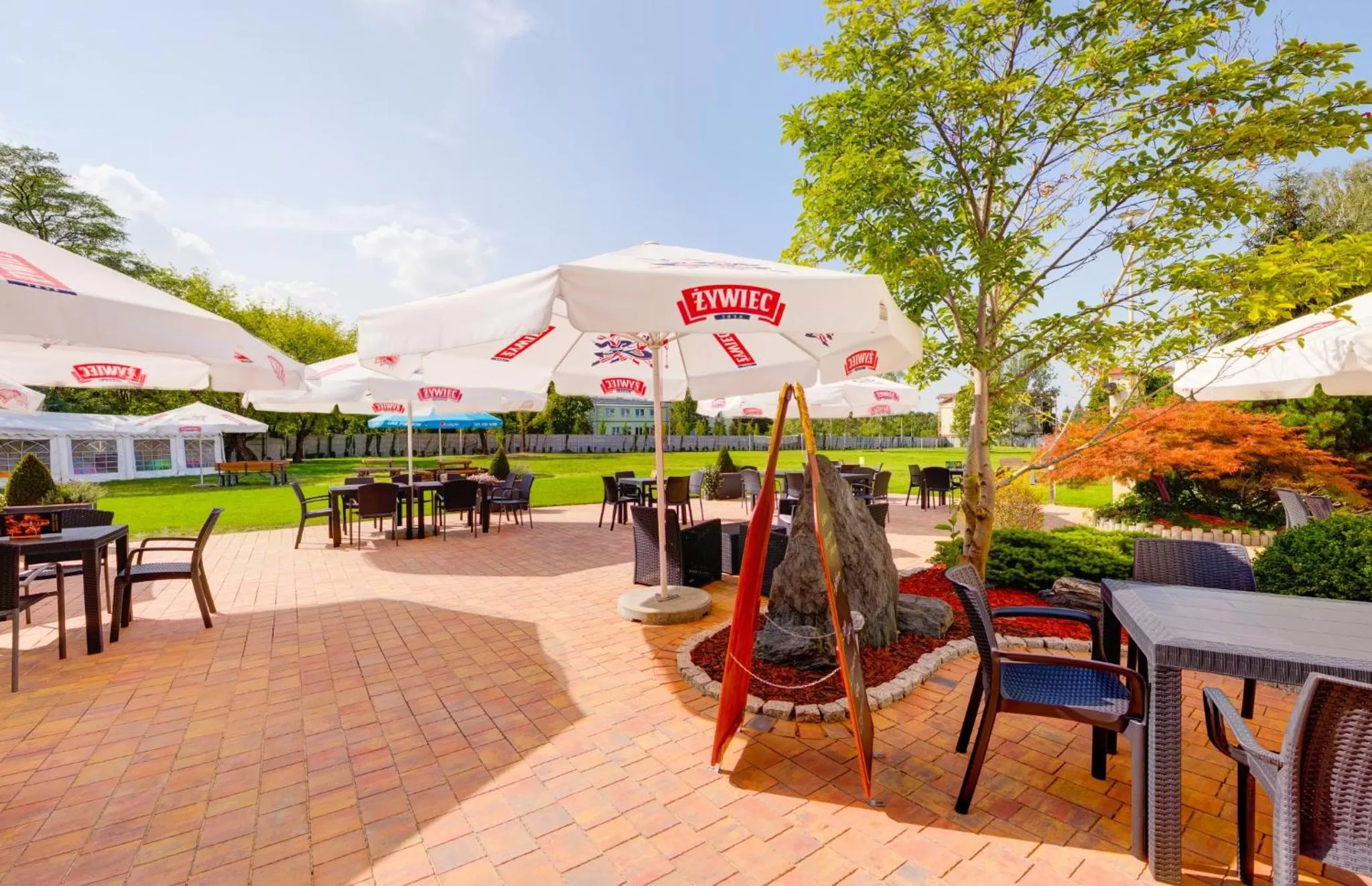 Area and facilities in Hotel Boss